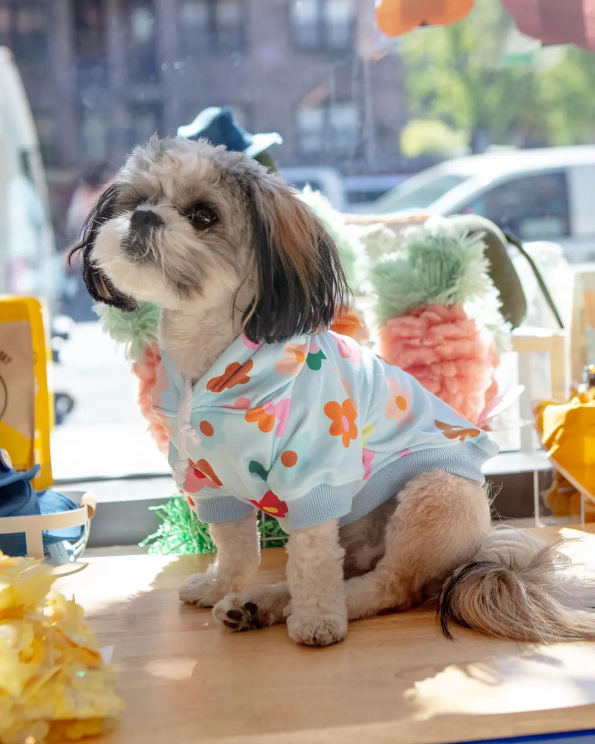 Le Fleur Dog Hoodie (Final Sale) 1
