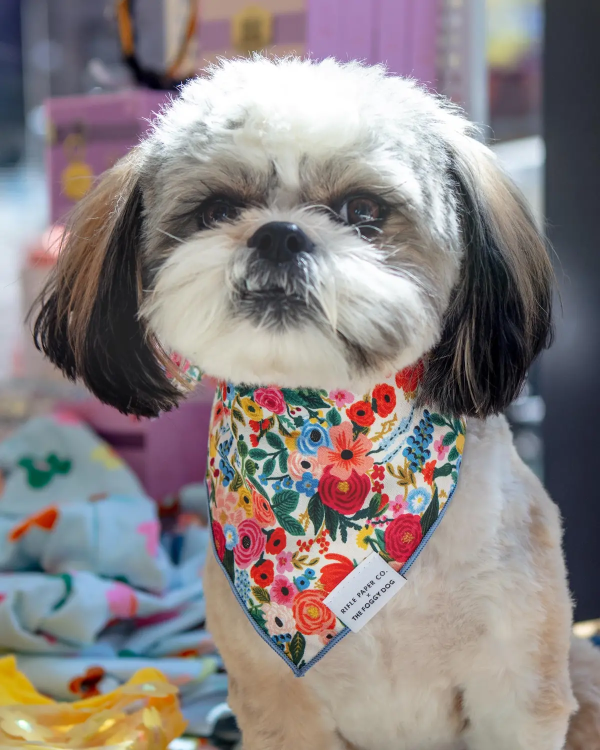 Rifle Paper Co. X Tfd Garden Party Dog Bandana (Made In The Usa) (Final Sale) 1