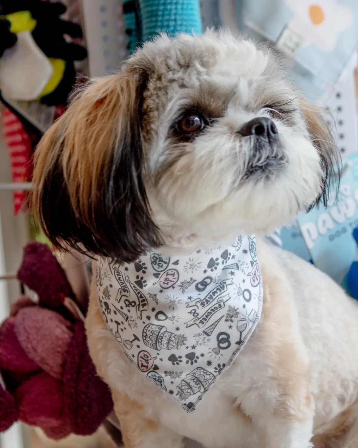 Dog Bandana For Weddings Or Engagement (Made In The Usa) (Final Sale) 1