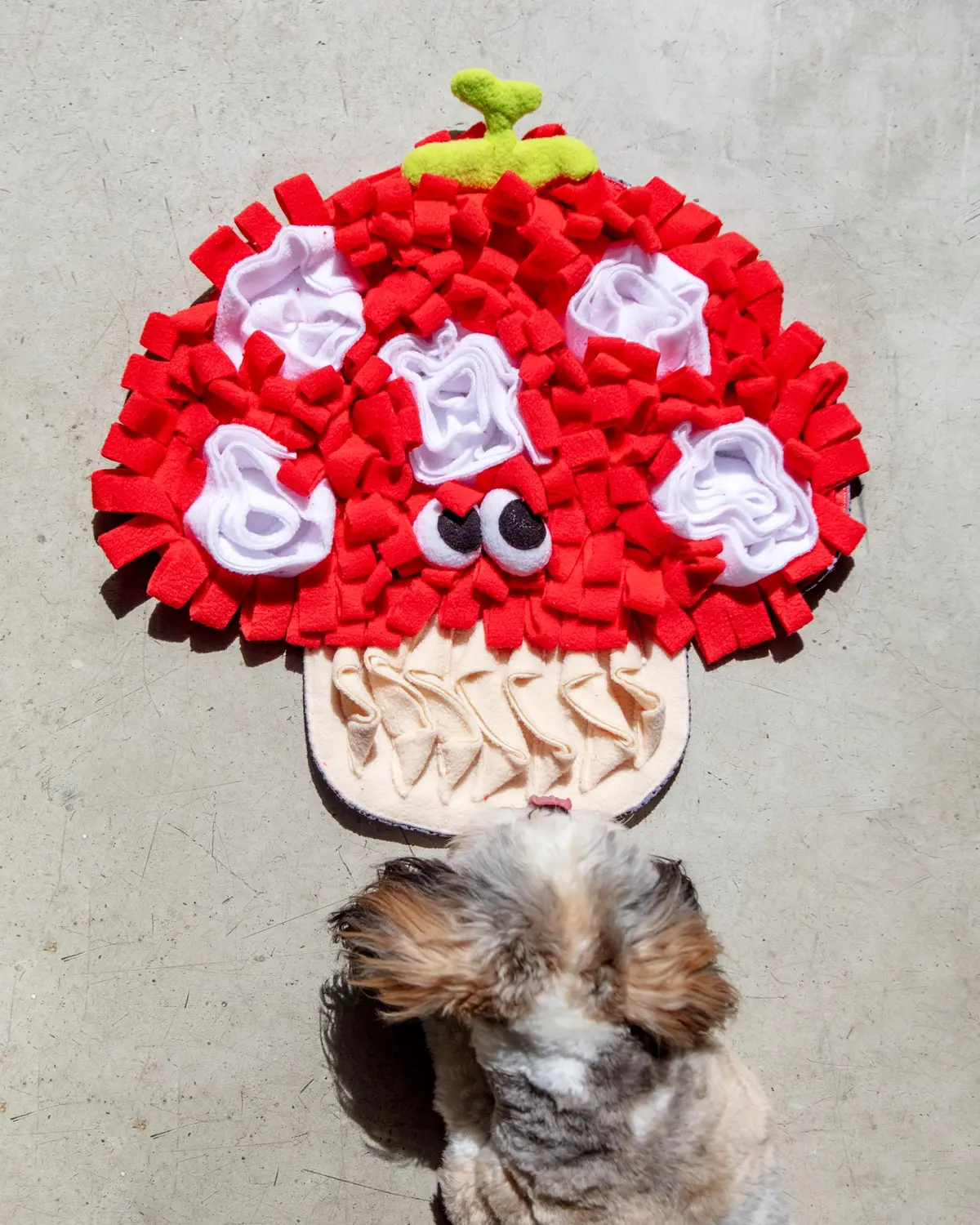 Mushroom Veggie Snuffle Mat Dog Toy 1