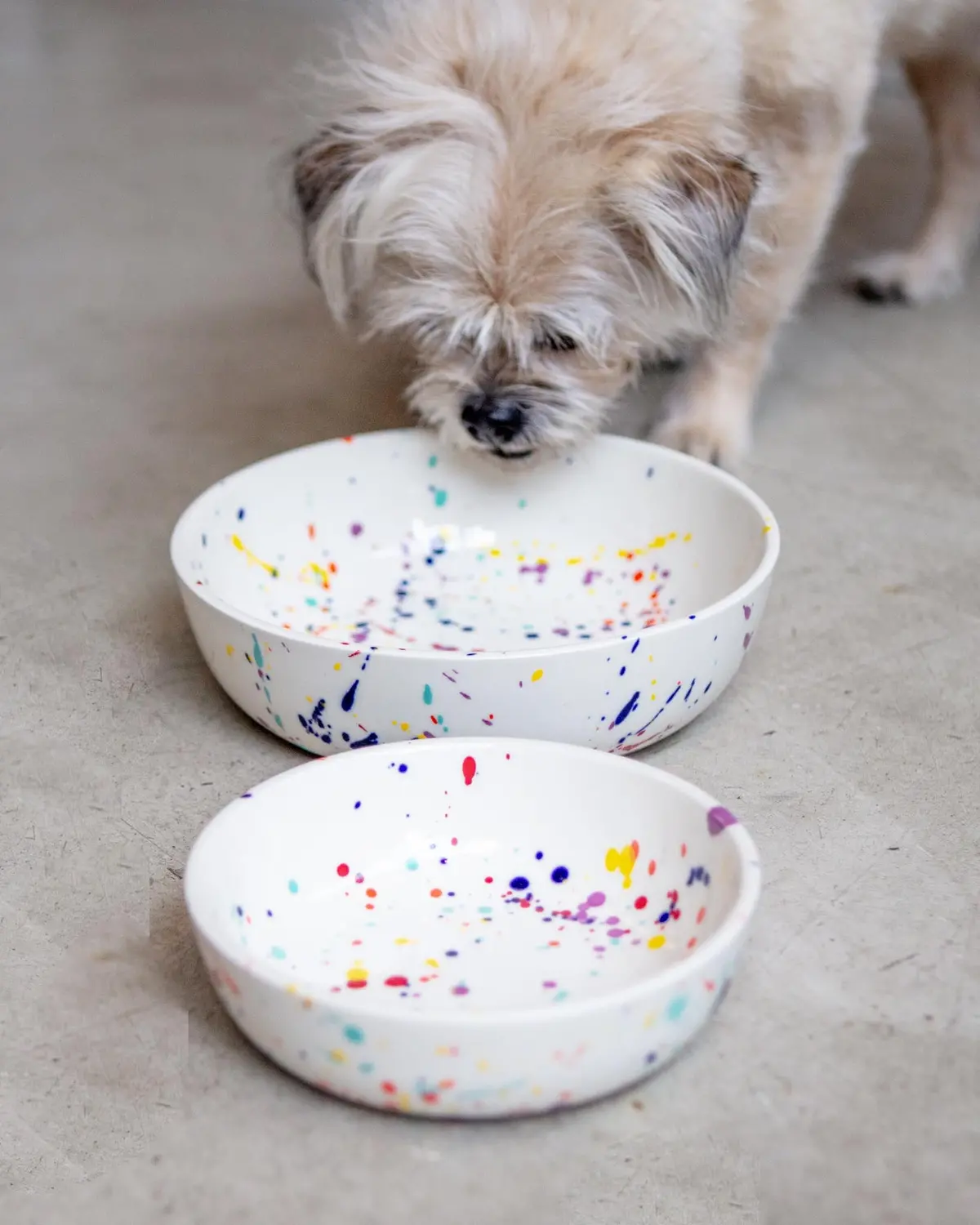Ceramic Pet Bowl In Confetti (Made In The Usa) 1