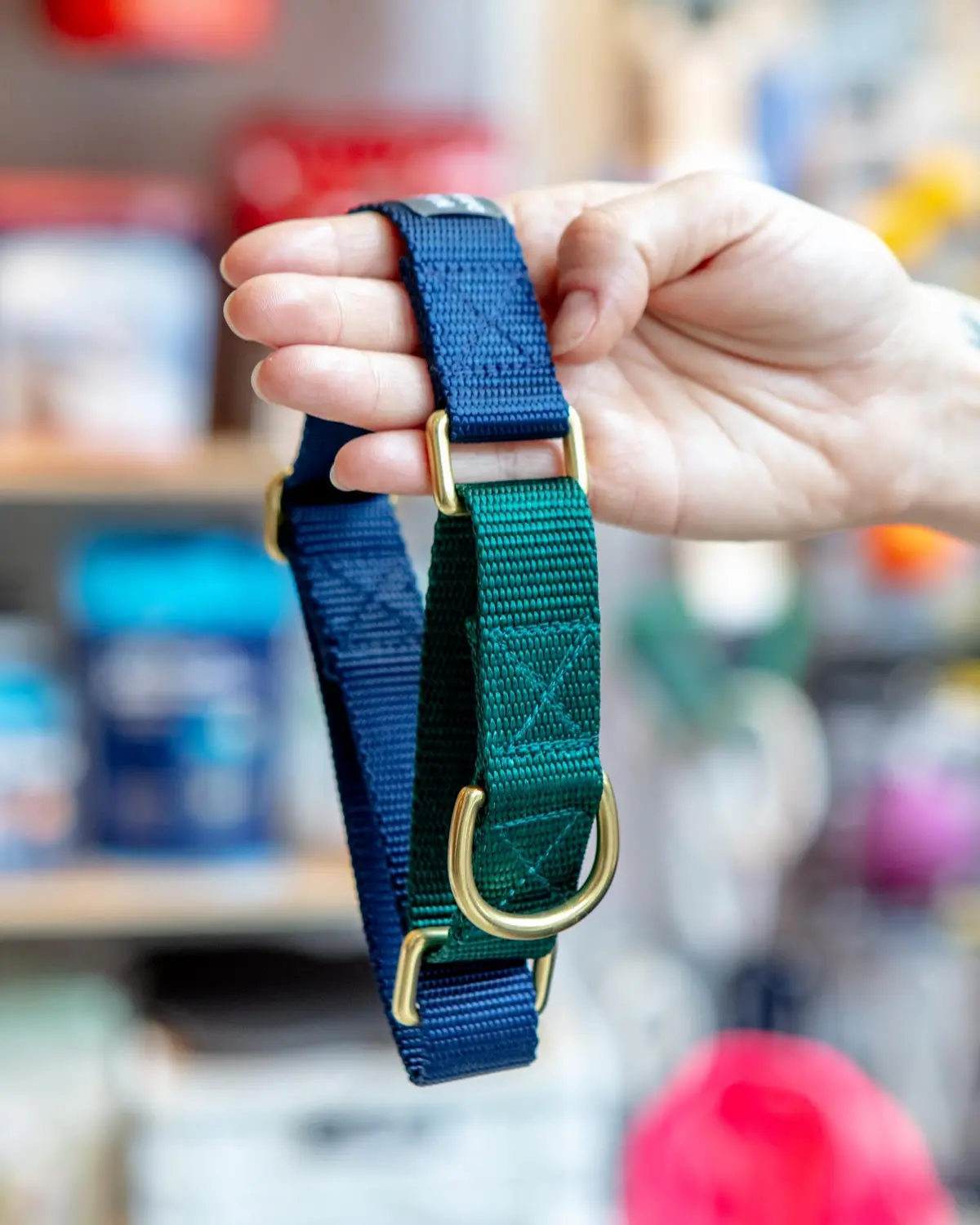 Martingale Dog Collar In Navy + Evergreen (Made In The Usa) 1