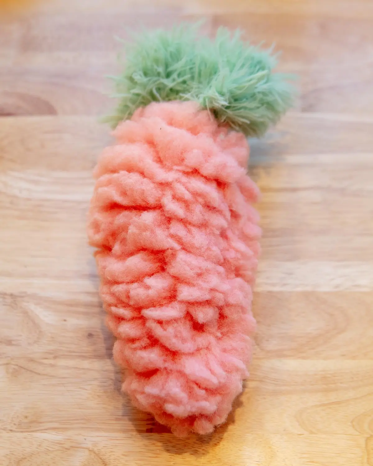 Mr. Garret Carrot Plush Dog Toy (Final Sale) 1