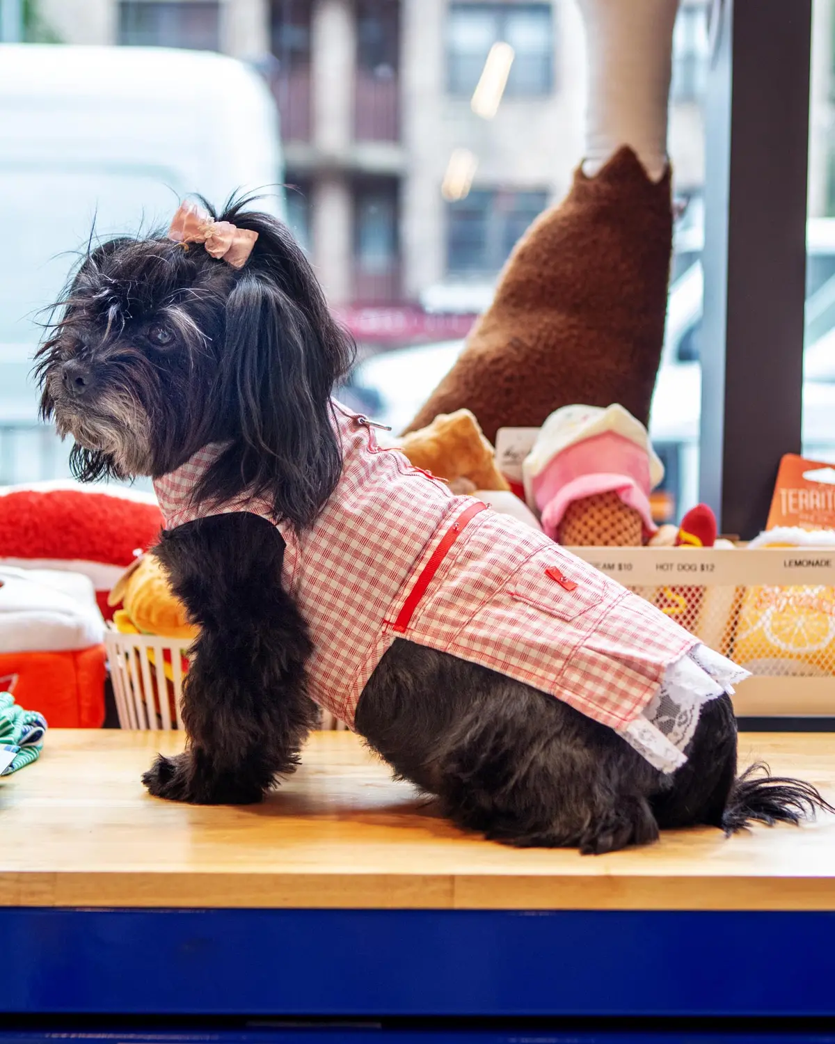 Red Check Picnic Dress For Dogs (Final Sale) 1