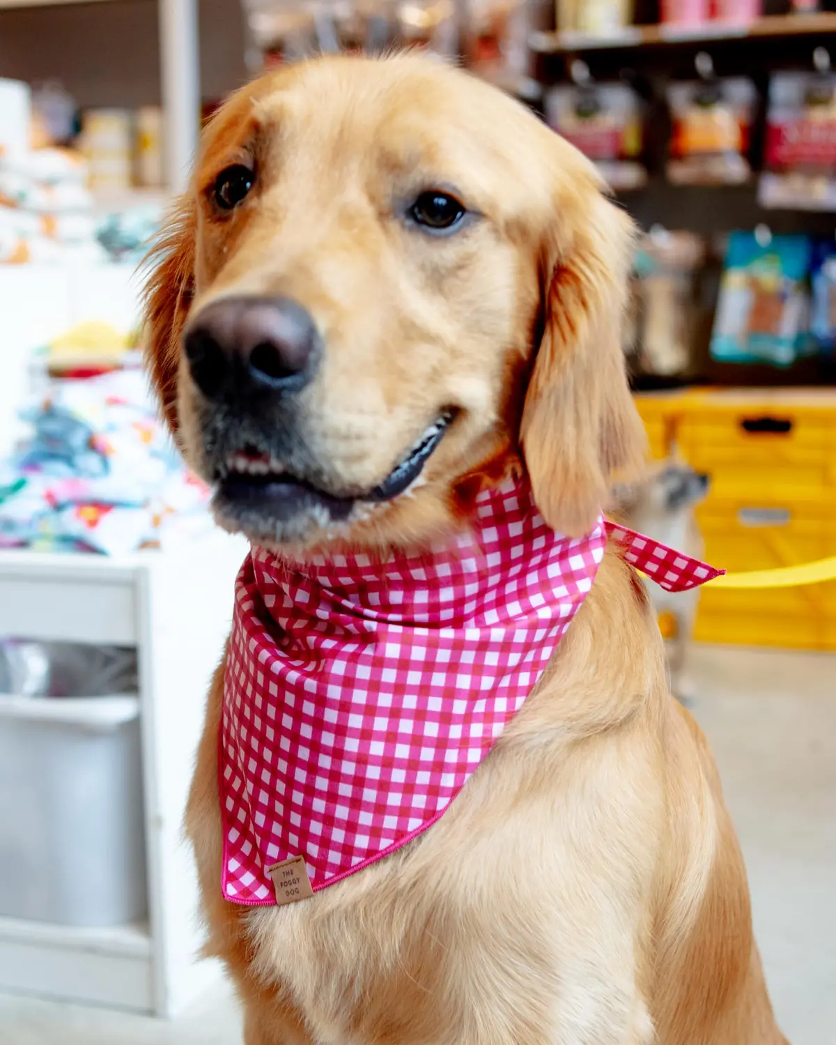 Raspberry Gingham Dog Bandana (Made In The Usa) (Final Sale) 1