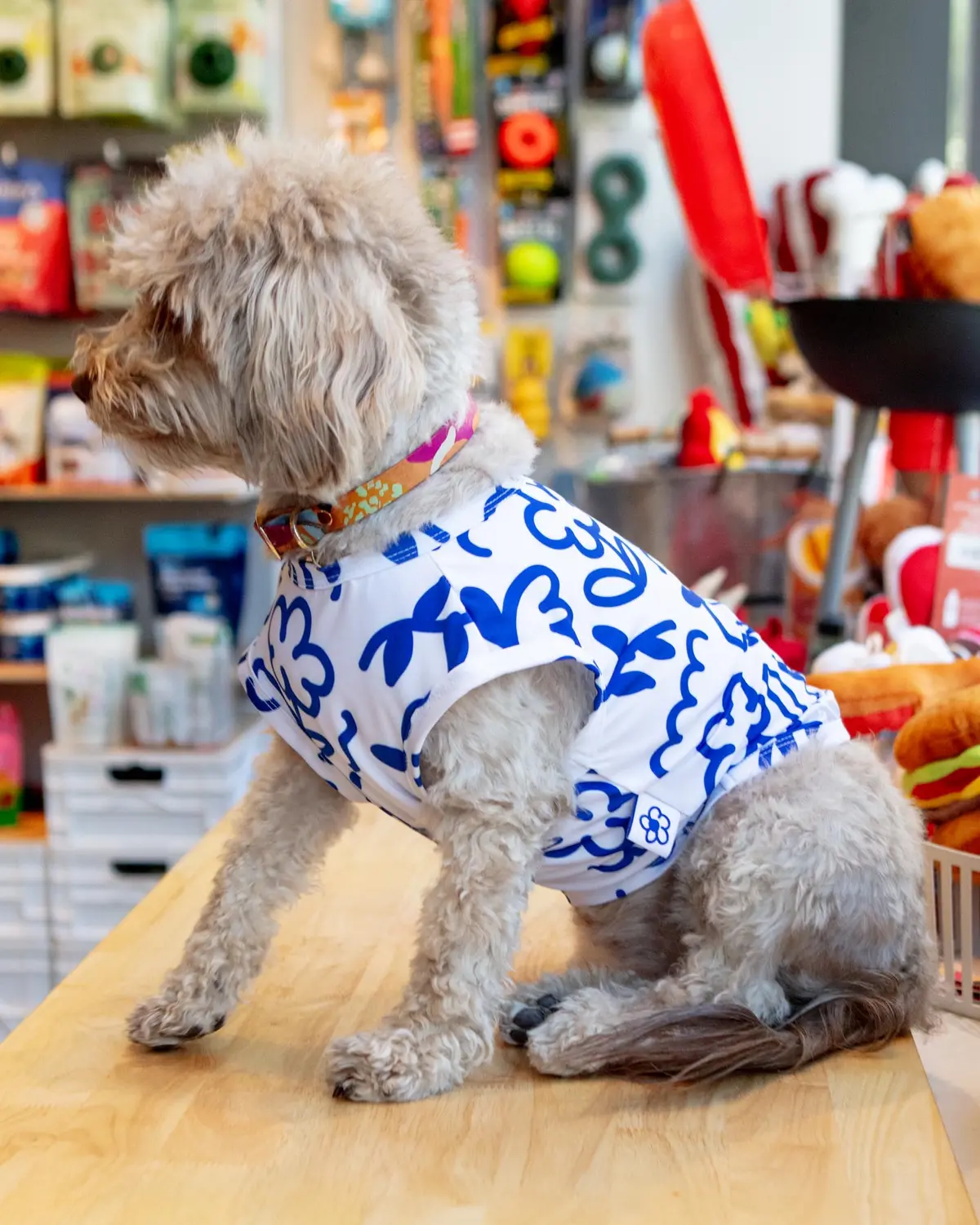 Blue Scribbles Cooling Dog Tee (Final Sale) 1