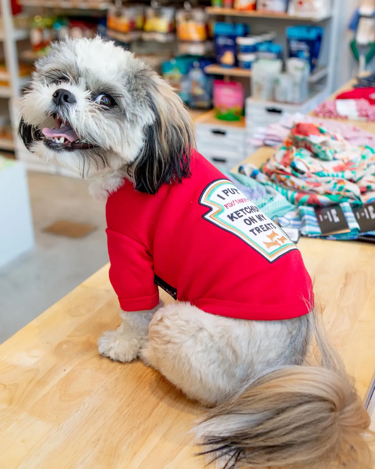 Ketchup Licker Dog T-Shirt (Final Sale) 1