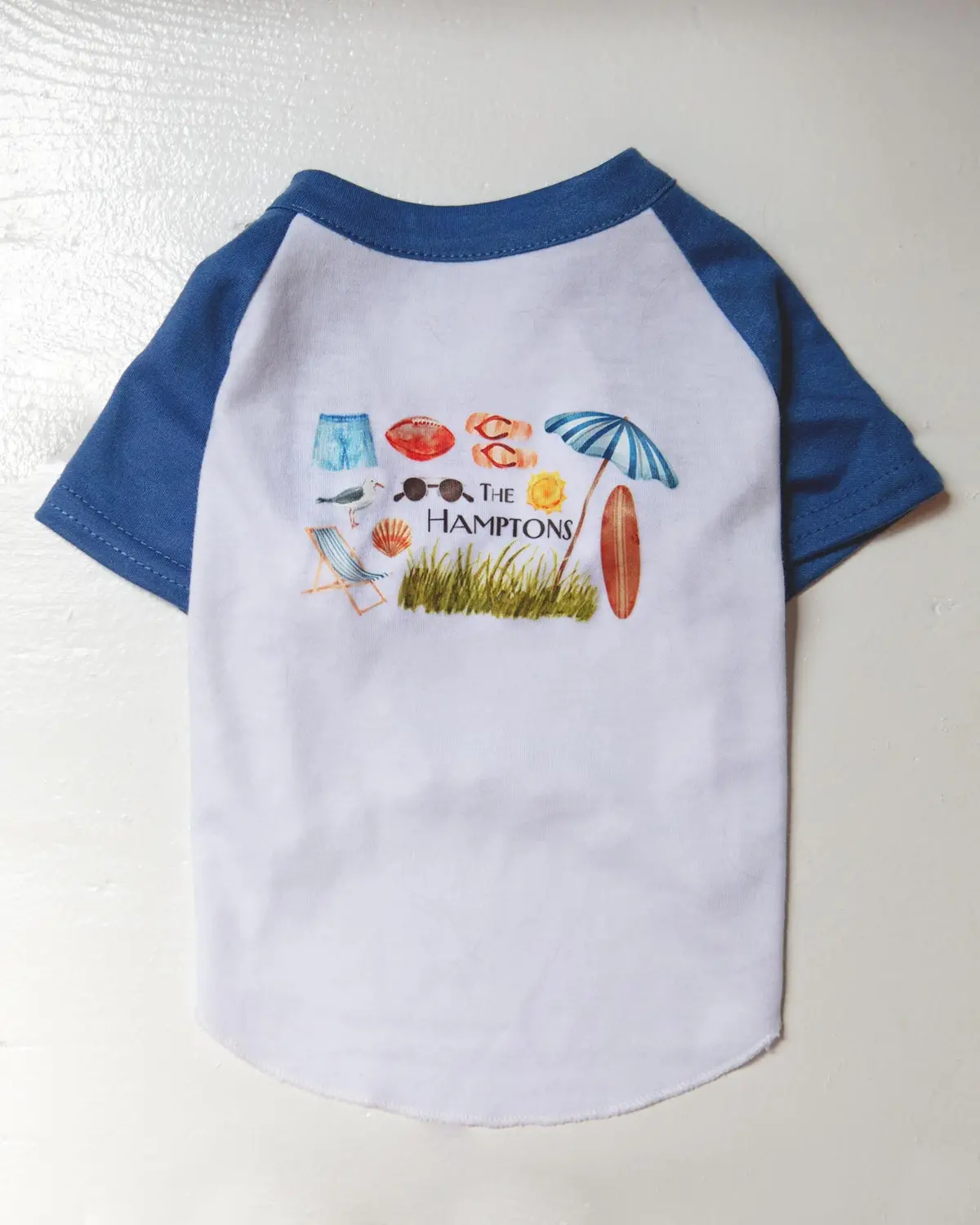 *The Hamptons* Graphic Dog T-Shirt In Surf Blue 1