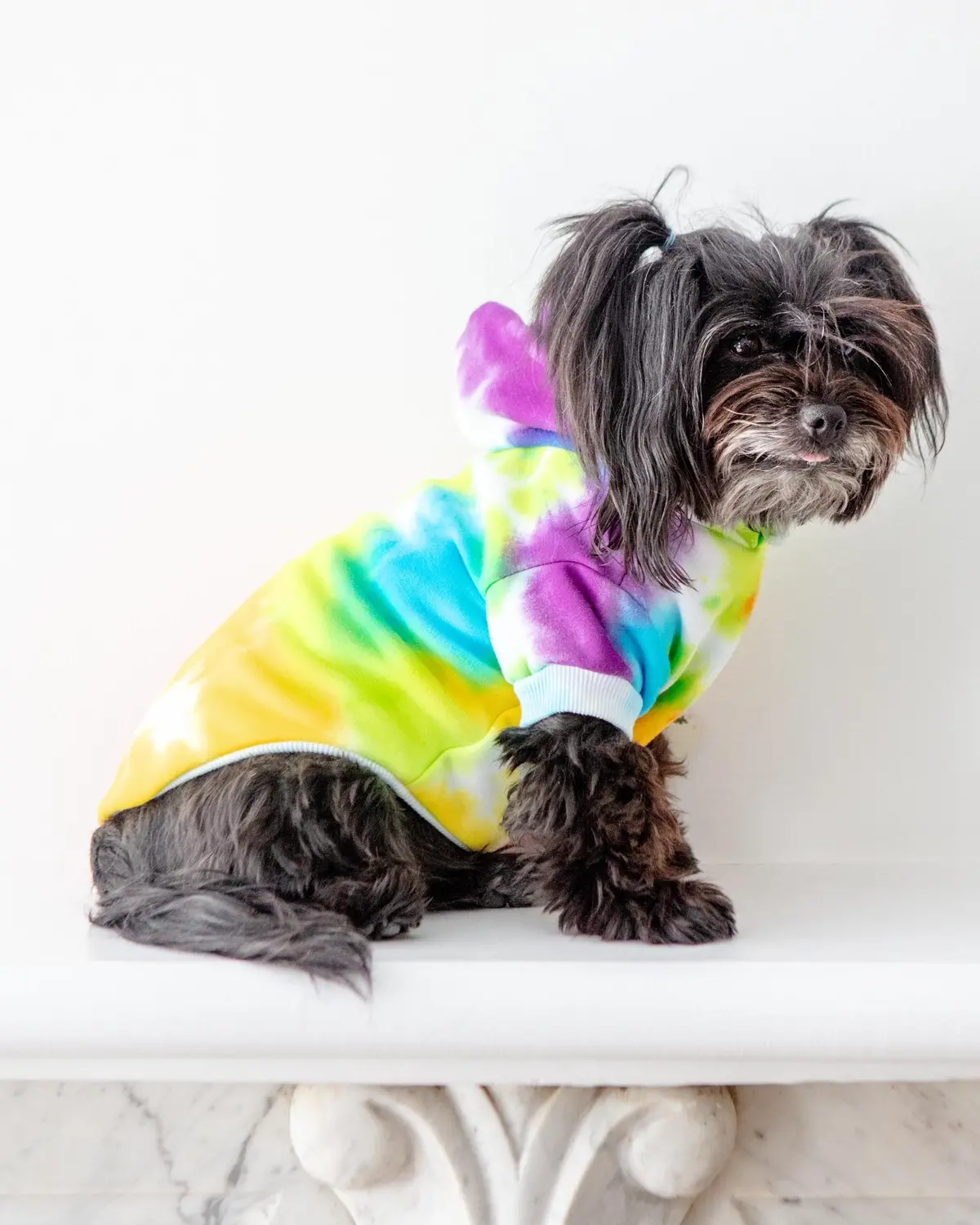Tie Dye Dog Hoodie In Rainbow 1