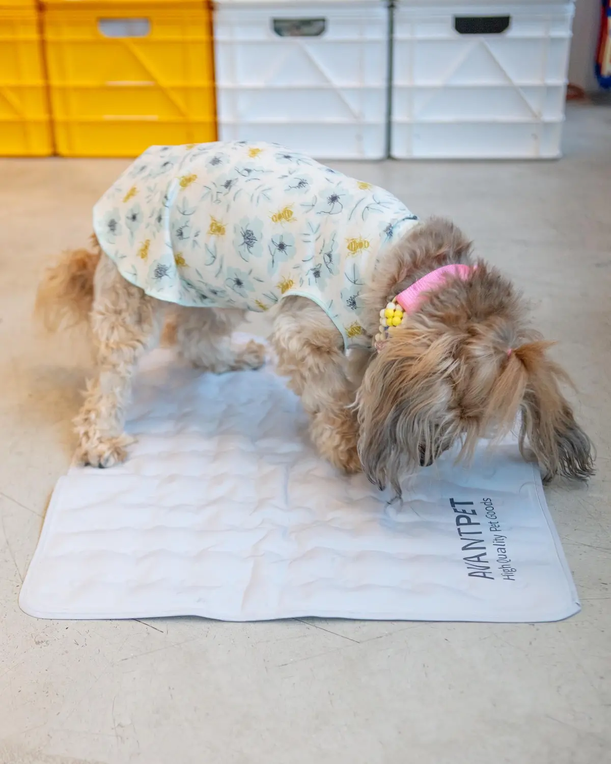 Non-Toxic Pet Cooling Mat (Made In Korea) 1