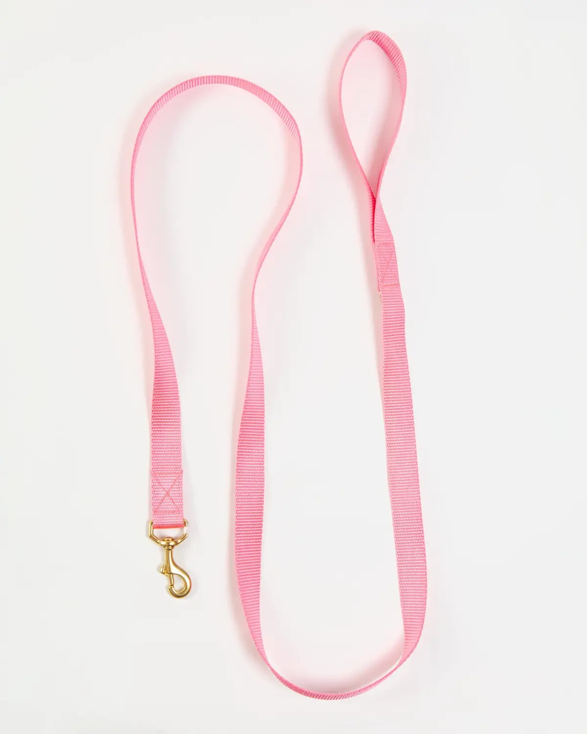 Basic Nylon Dog Leash In Pink (Made In The Usa) 1