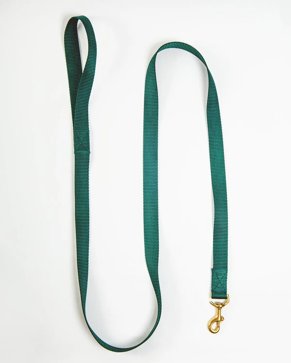 Basic Nylon Dog Leash In Evergreen (Made In The Usa) 1