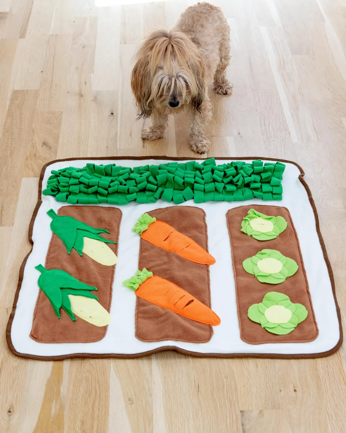 Spring Vegetable Garden Snuffle Dog Mat 1