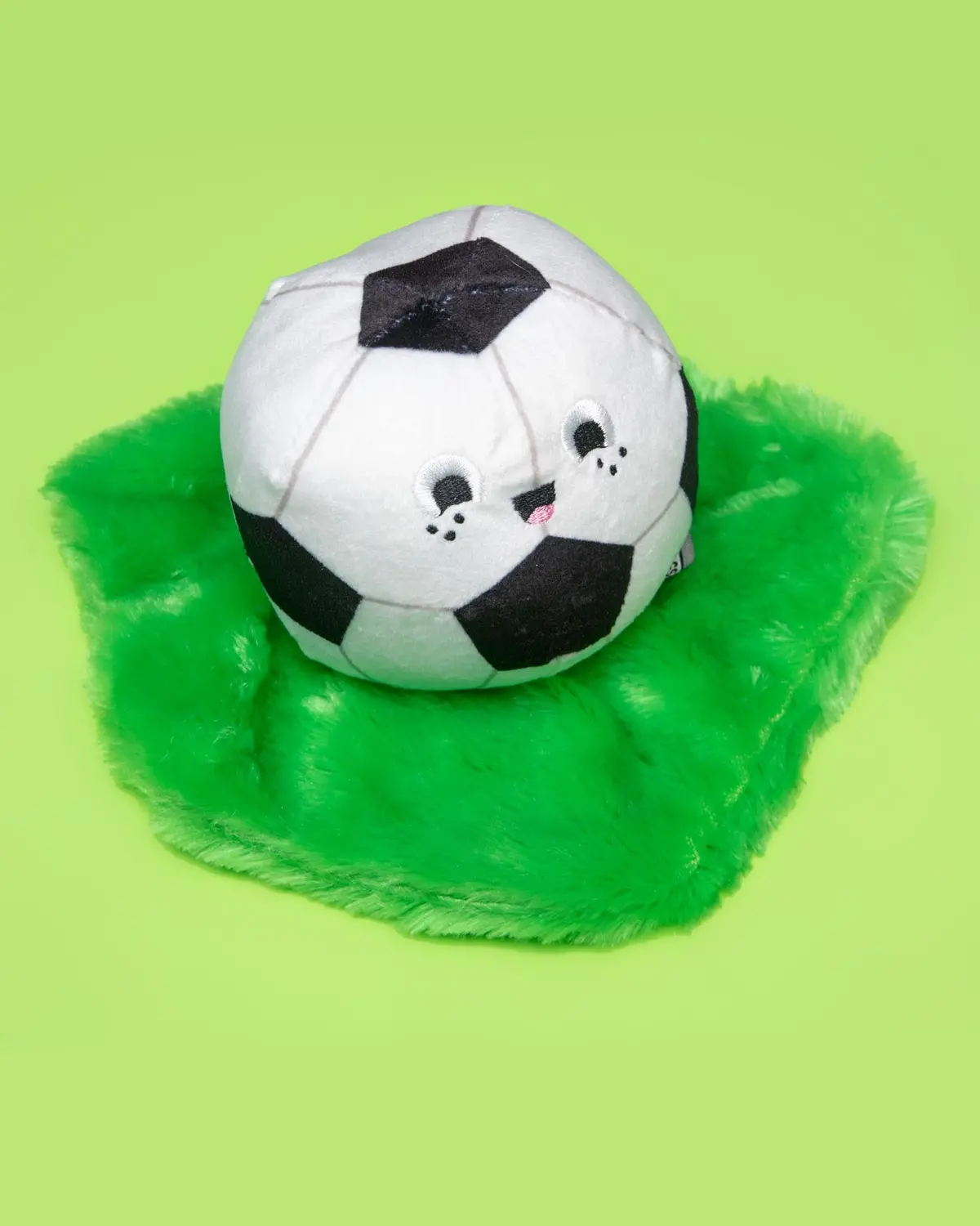 Just Kick It Plush Squeaky Dog Toy (Final Sale) 1