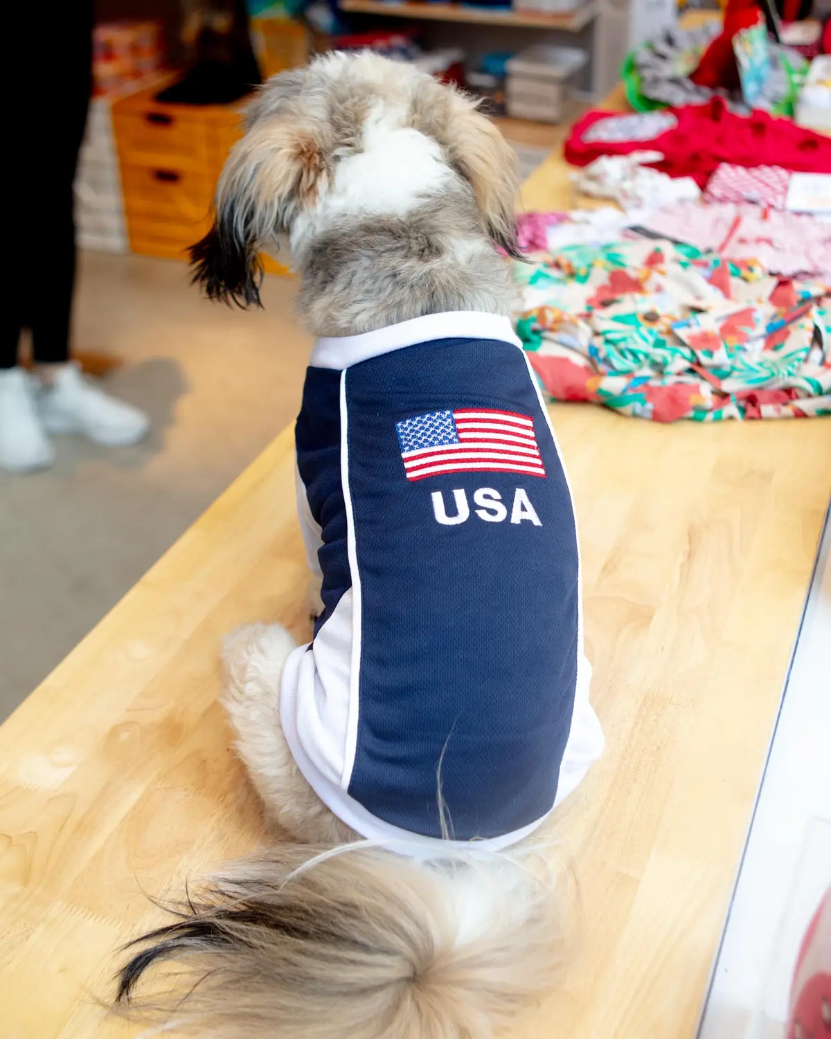 Team Usa Dog Jersey (Final Sale) 1