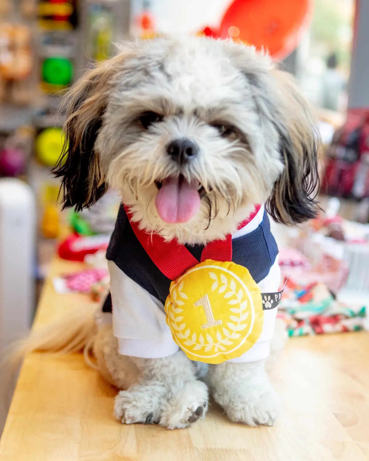 Doglympic Gold Medal Dog Toy 1