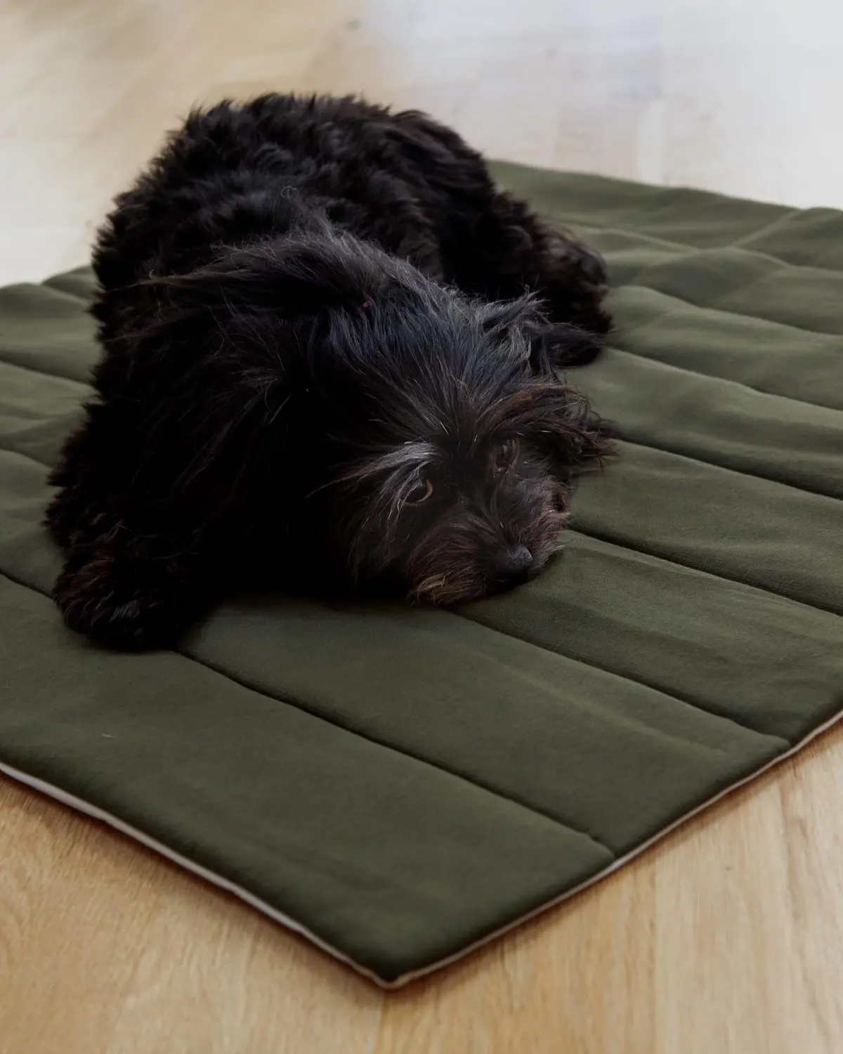 The Mellow Mat For Dogs & Cats (Made In The Usa) (Final Sale) 1