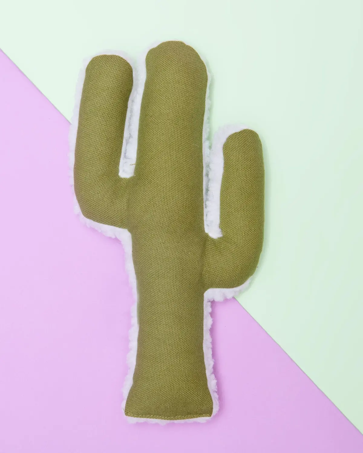 Cactus Dog Toy W/ Calming Leaf Mint (Final Sale) 1