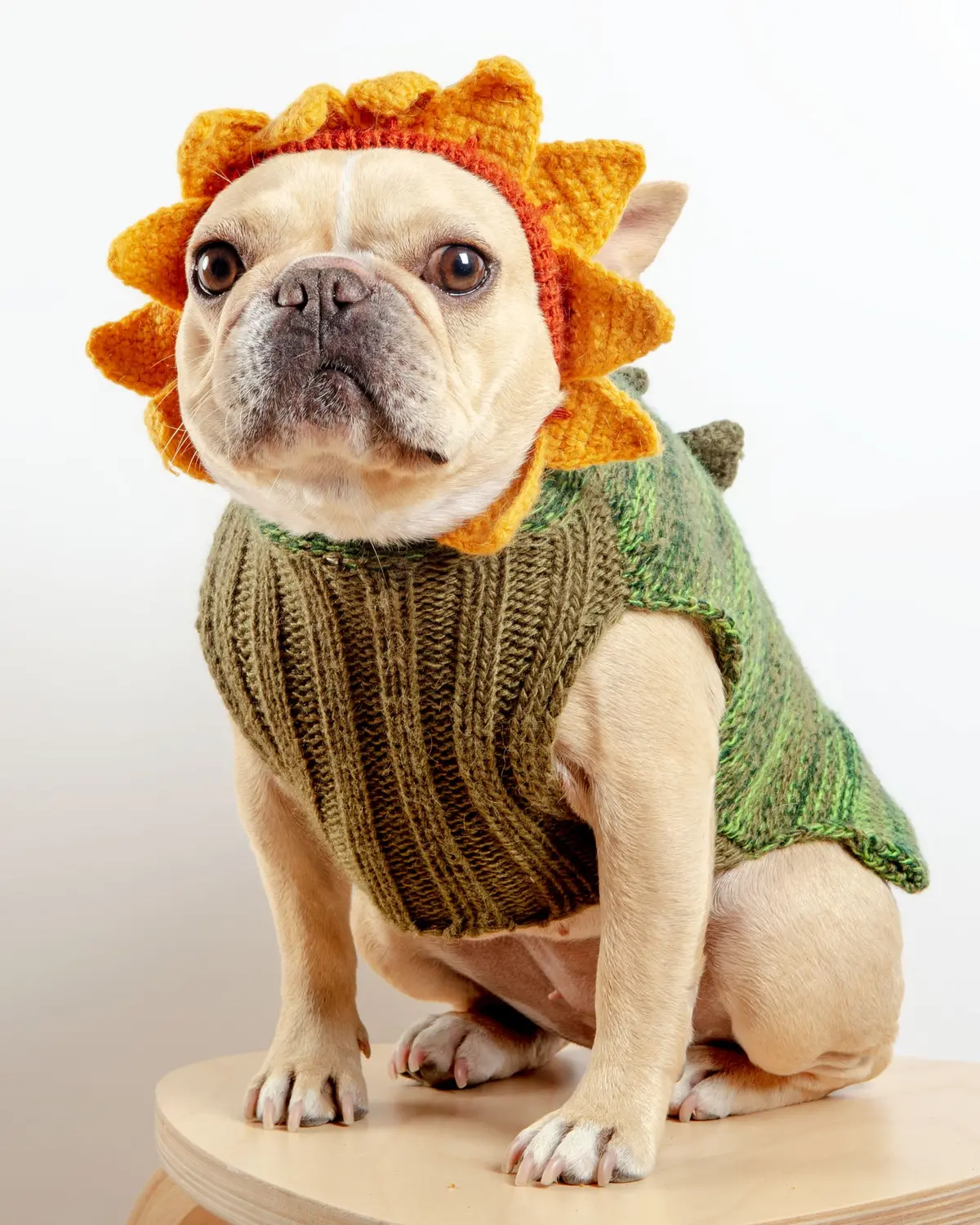 Sunflower Hand-Knit Dog Sweater (Dog & Co. Exclusive) (Final Sale) 1