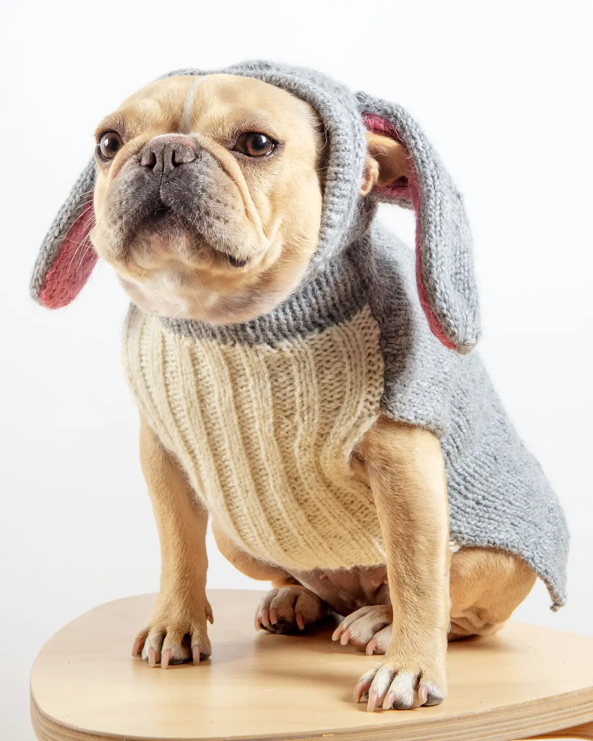 Ear-Resistable Hand-Knit Bunny Dog Sweater (Dog & Co. Exclusive) (Final Sale) 1