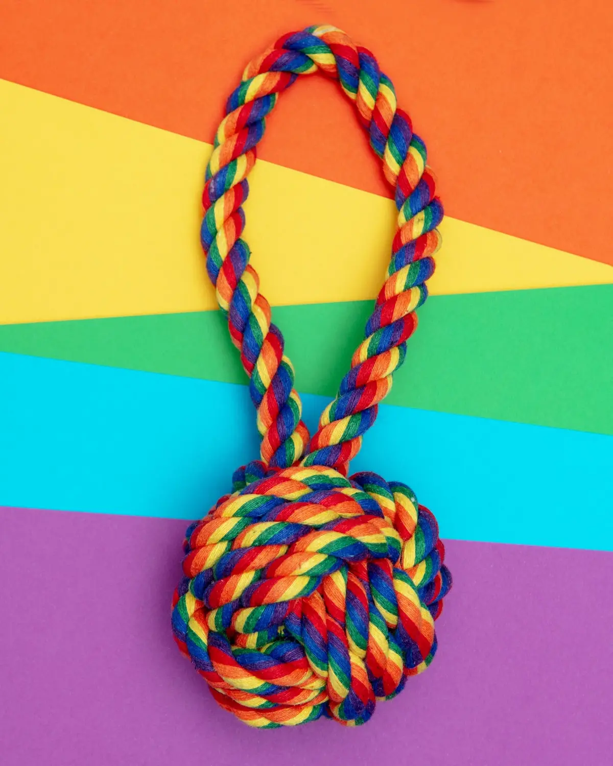 Rainbow Celtic Knot Rope Dog Toy 1