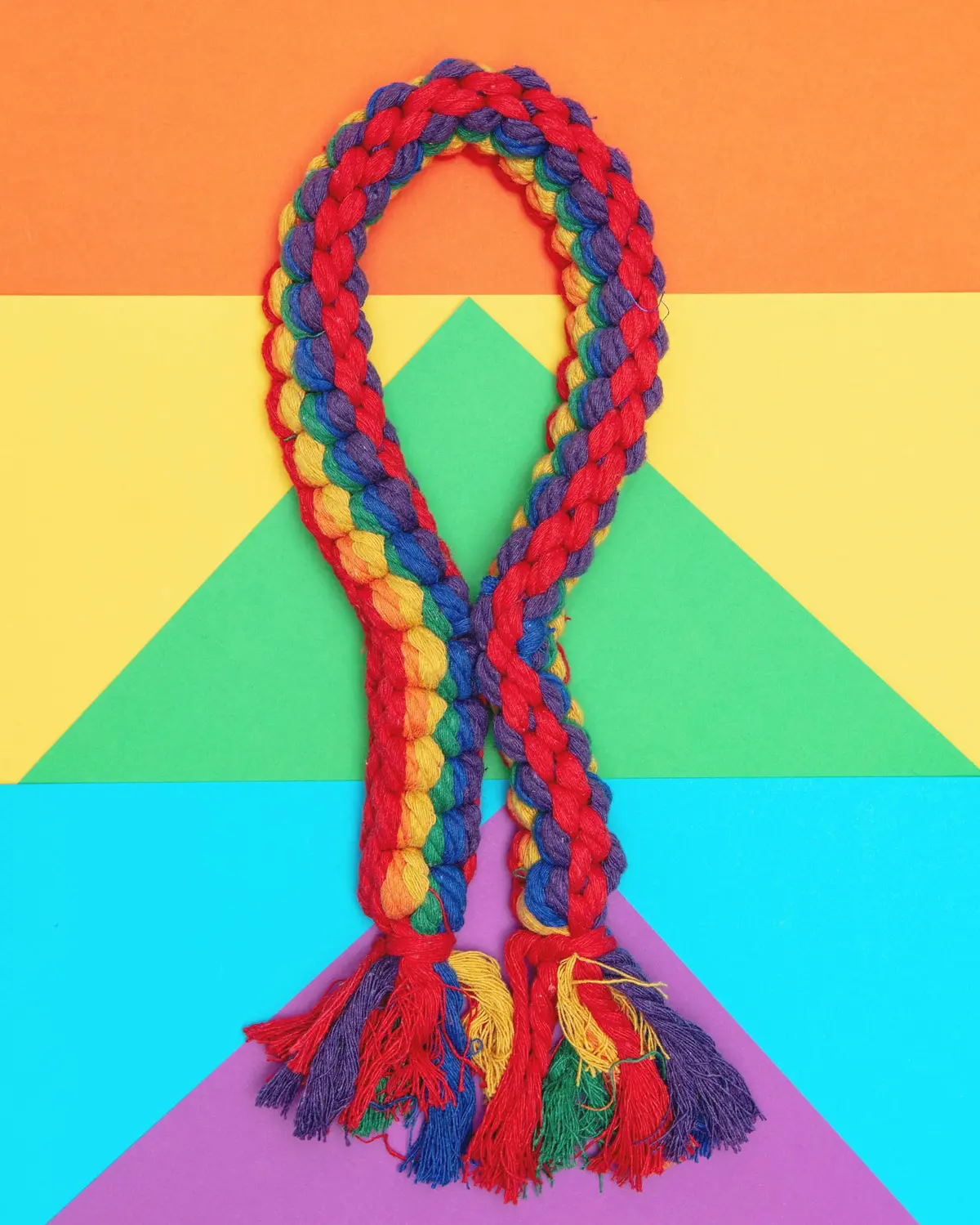 Rainbow Rope Dog Toy 1