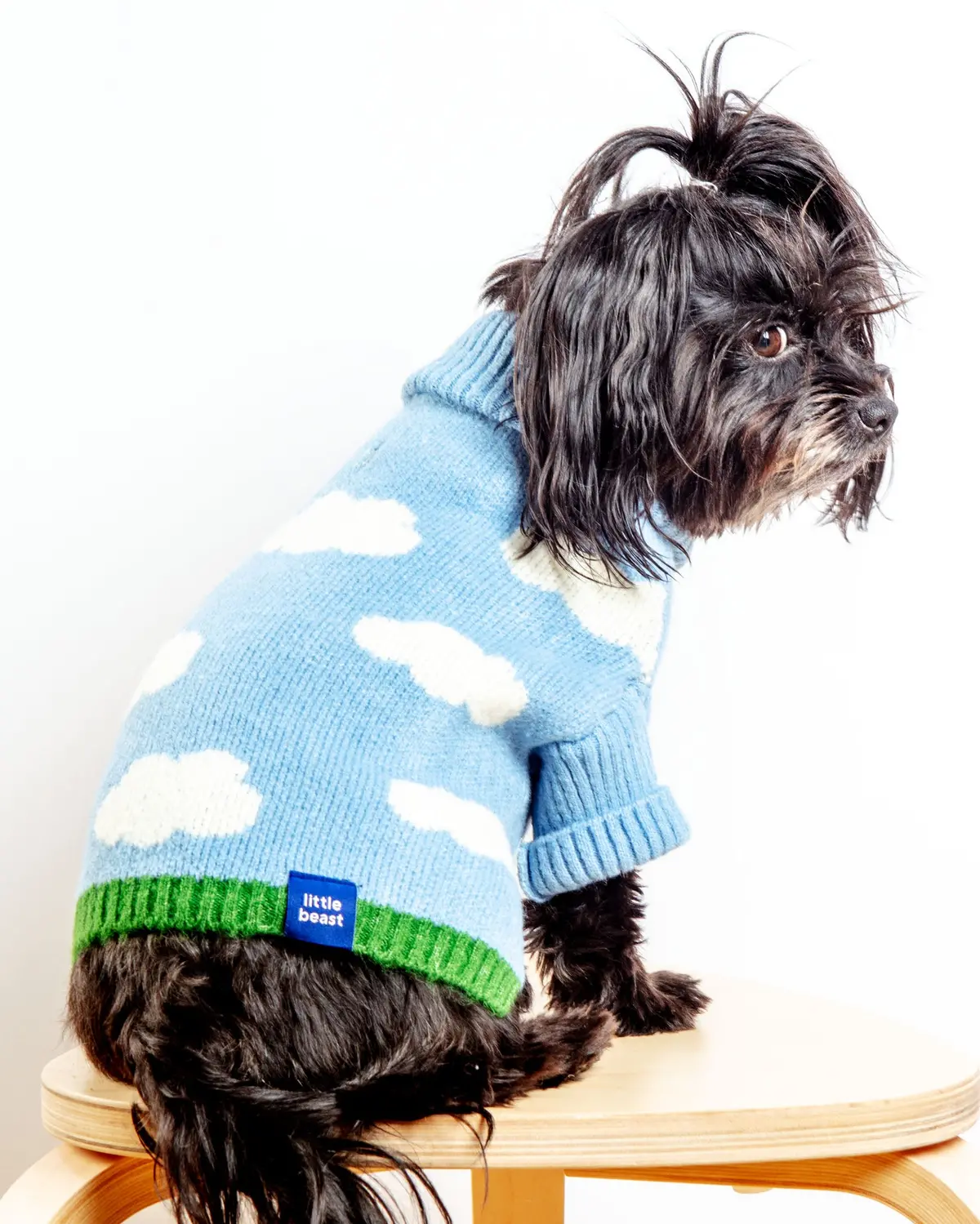 Silver Linings Dog Sweater 1