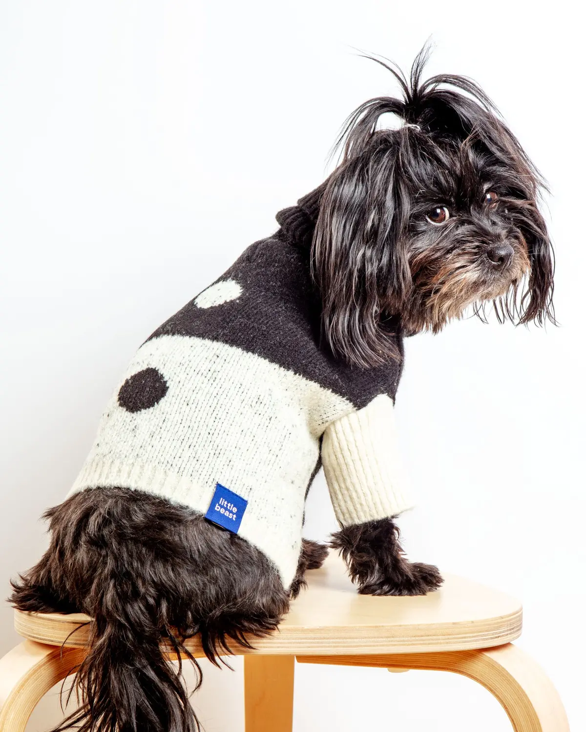 U + Me Dog Sweater (Final Sale) 1
