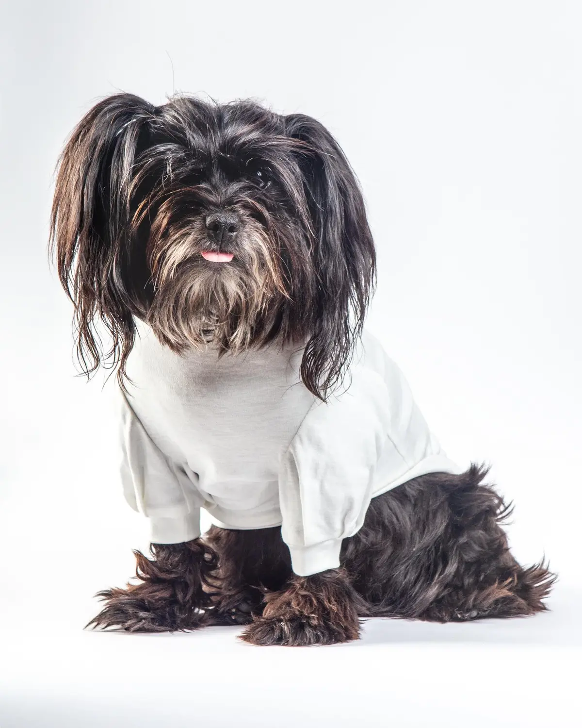 Soft Cotton Bubble Sleeve Dog Shirt (Final Sale) 1