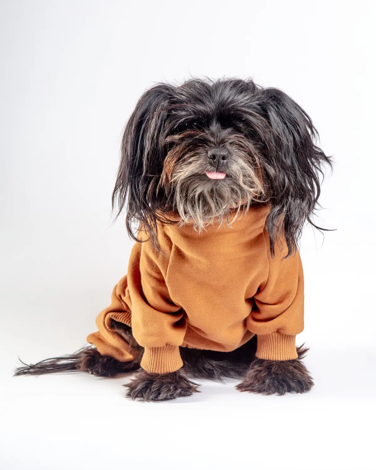 Sweatsuit Onesie For Dogs In Camel (Final Sale) 1