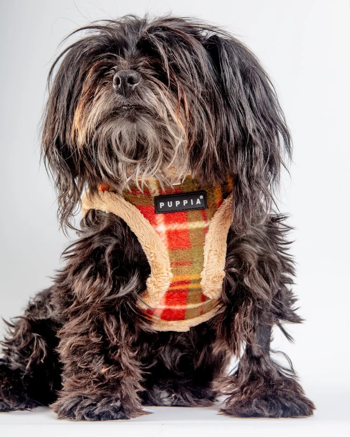 Soft Fleece Step-In Dog Harness In Plaid (Final Sale) 1