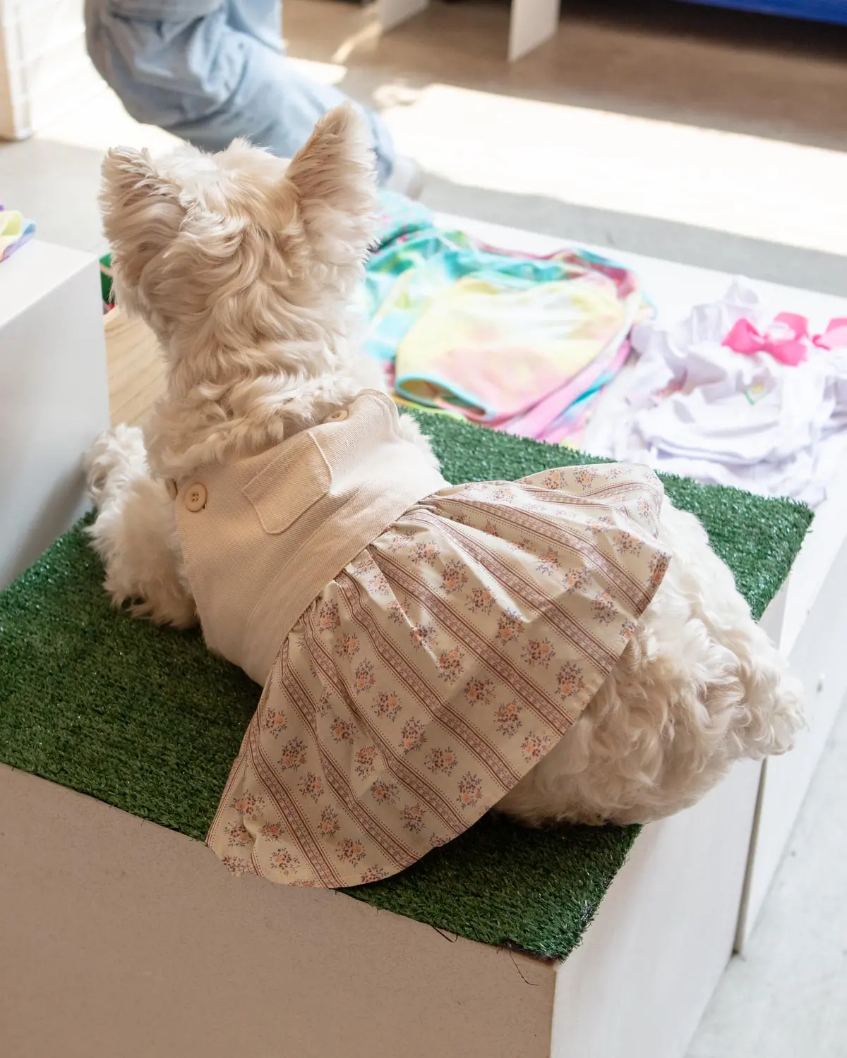 Japanese Denim Flower Dog Dress 3