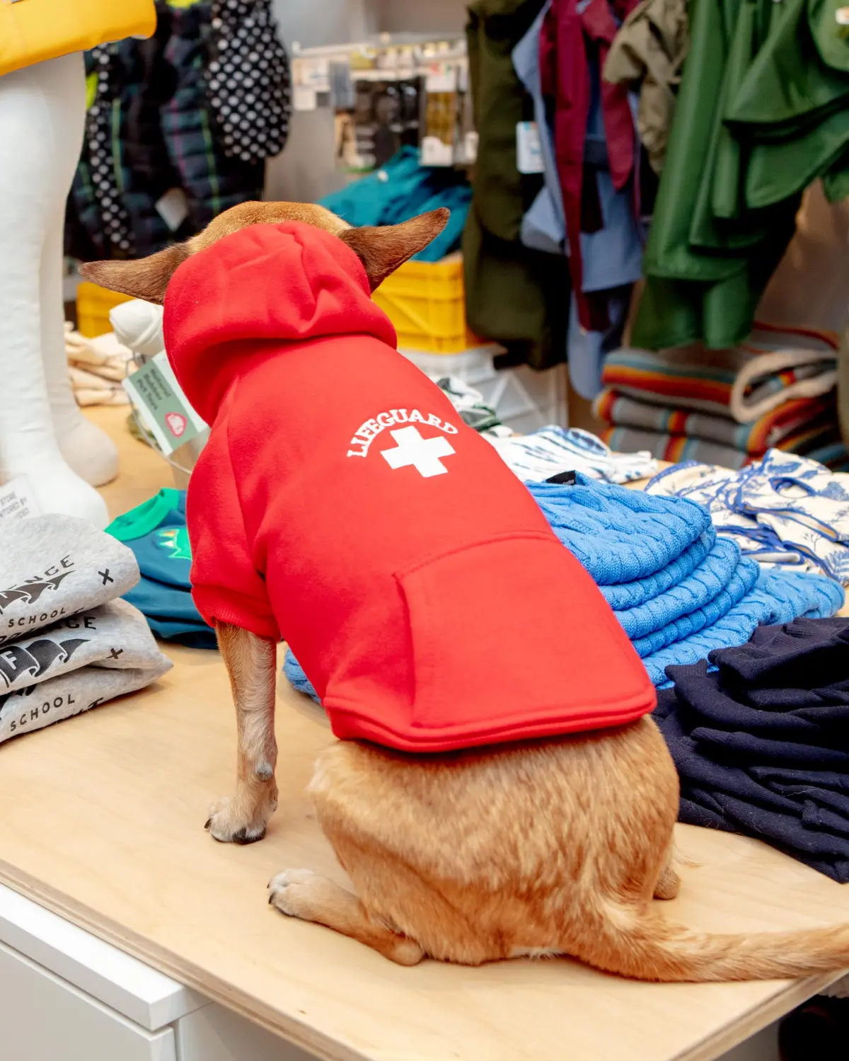 Lifeguard Dog Hoodie In Red (Final Sale) 2