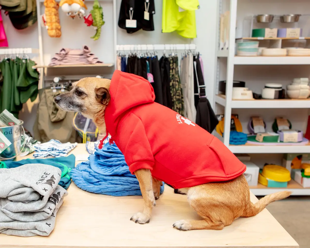 Lifeguard Dog Hoodie In Red (Final Sale) 3