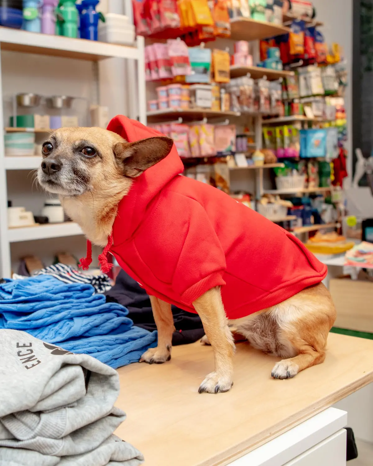 Lifeguard Dog Hoodie In Red (Final Sale) 4
