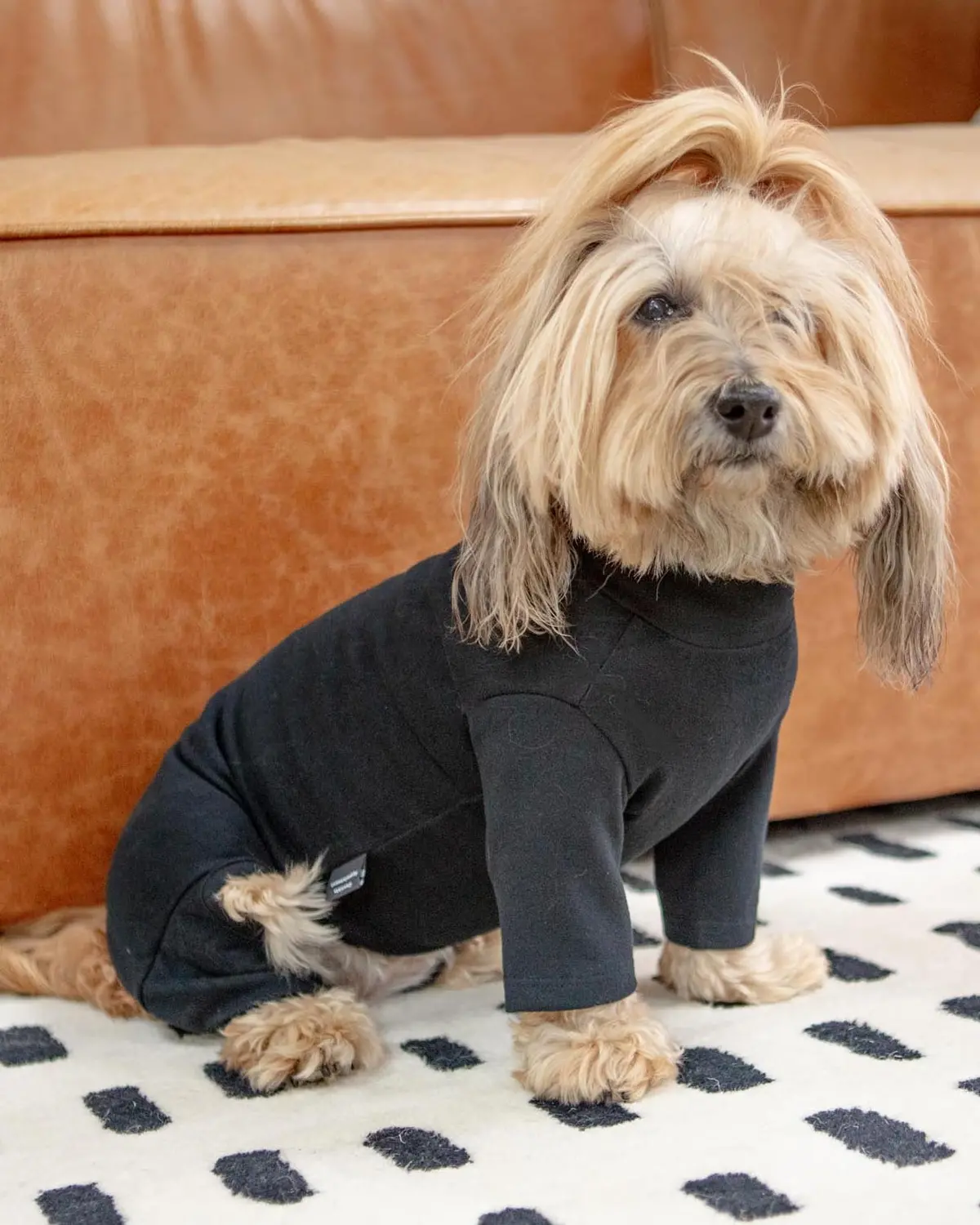 Body Warm Onesie In Black (Dog & Co. Exclusive) 1