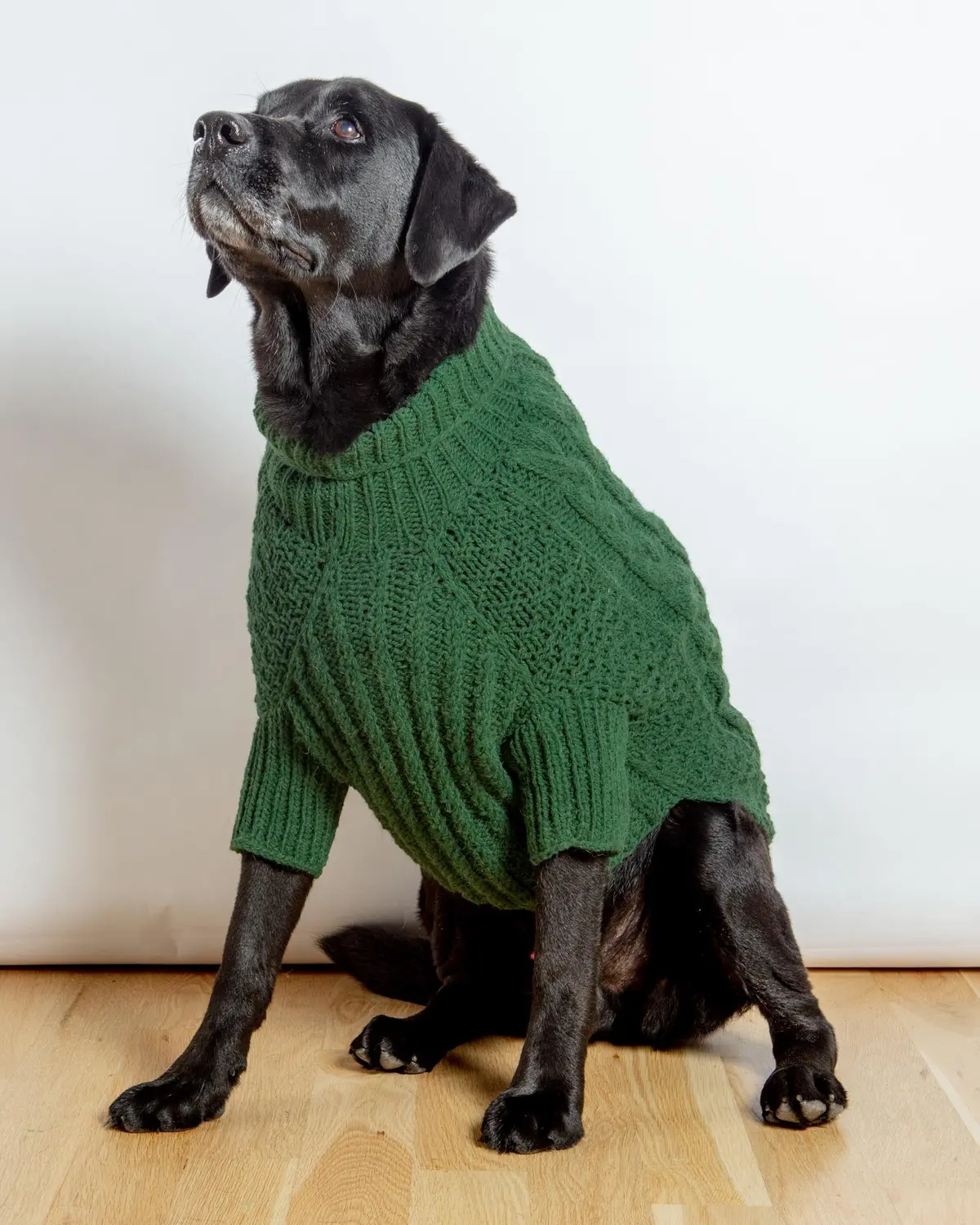 Downtown Roll Neck Dog Sweater In Evergreen (Final Sale) 1