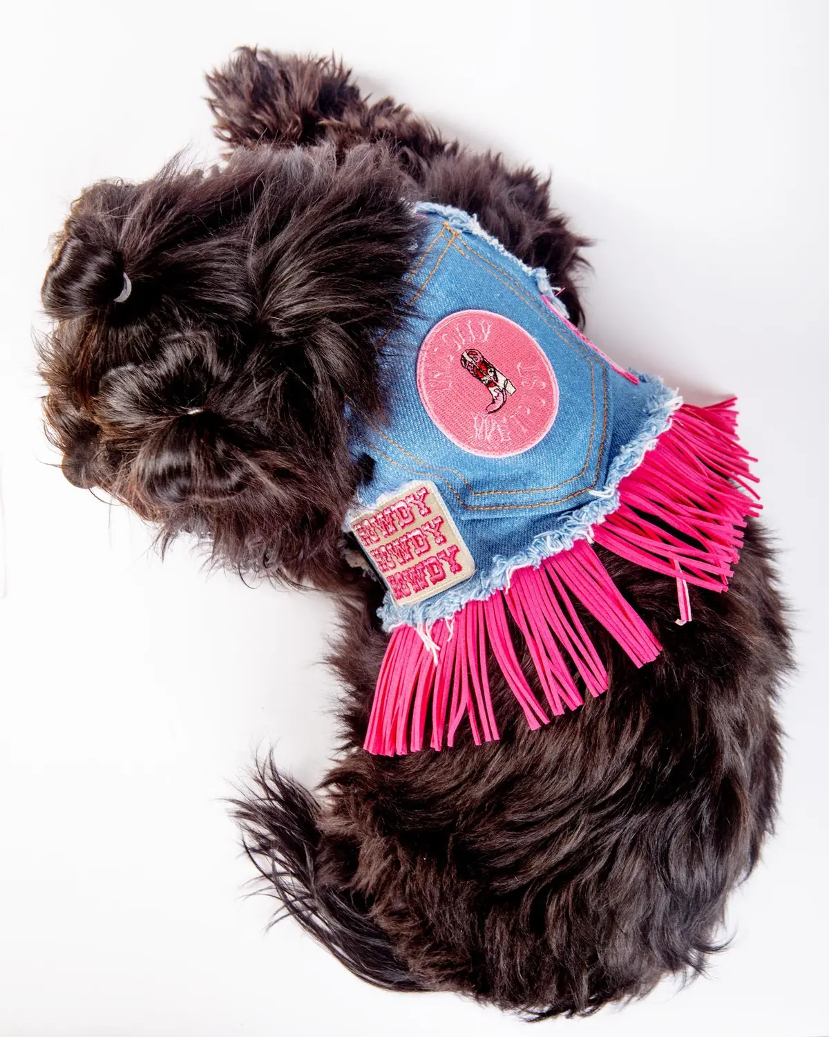 Denim Cowgirl Dog Harness (Made In The Usa) (Final Sale) 4