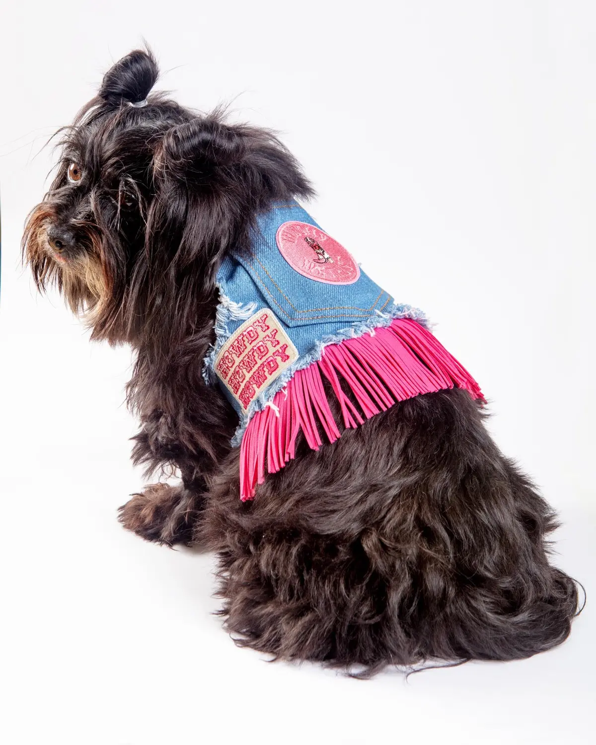 Denim Cowgirl Dog Harness (Made In The Usa) (Final Sale) 5