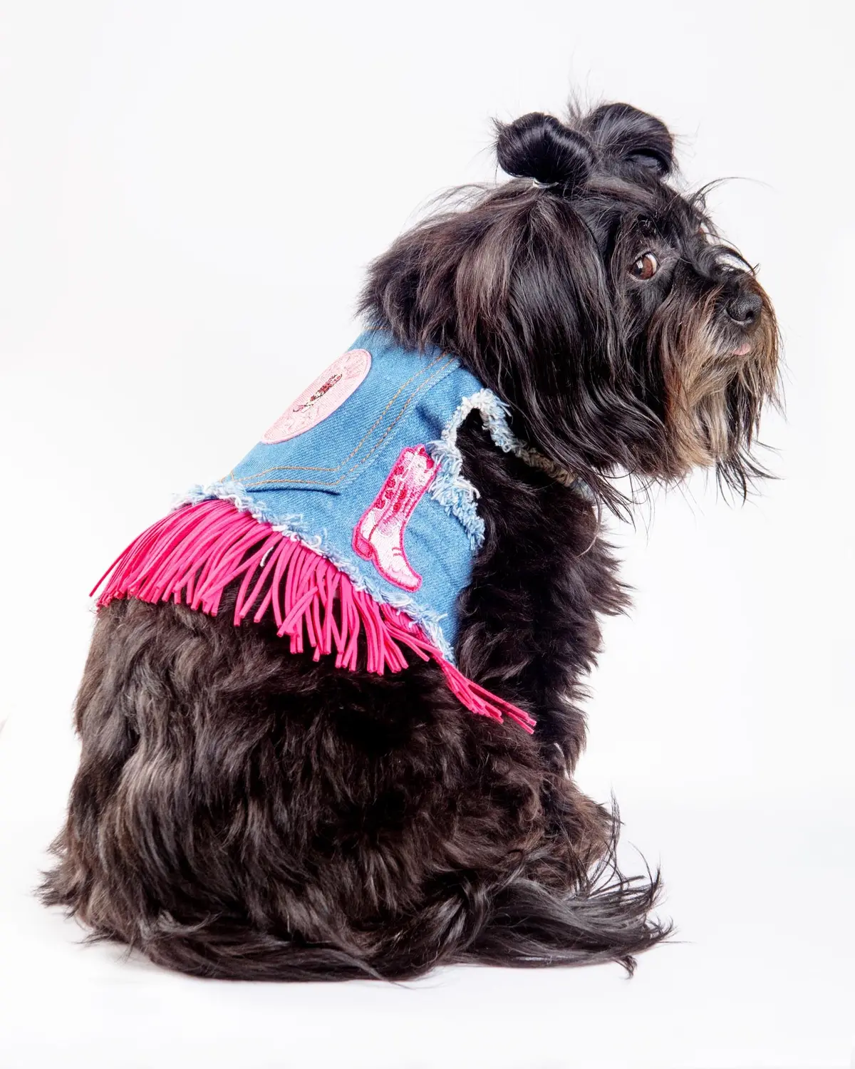 Denim Cowgirl Dog Harness (Made In The Usa) (Final Sale) 2