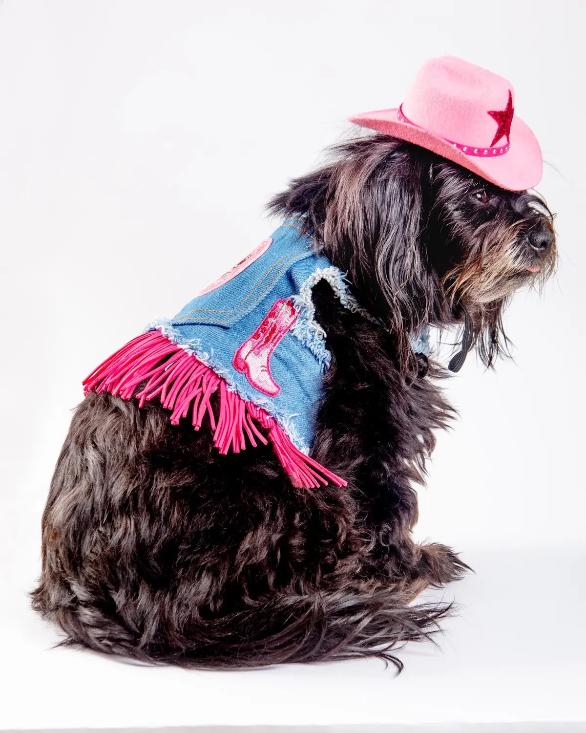 Denim Cowgirl Dog Harness (Made In The Usa) (Final Sale) 7