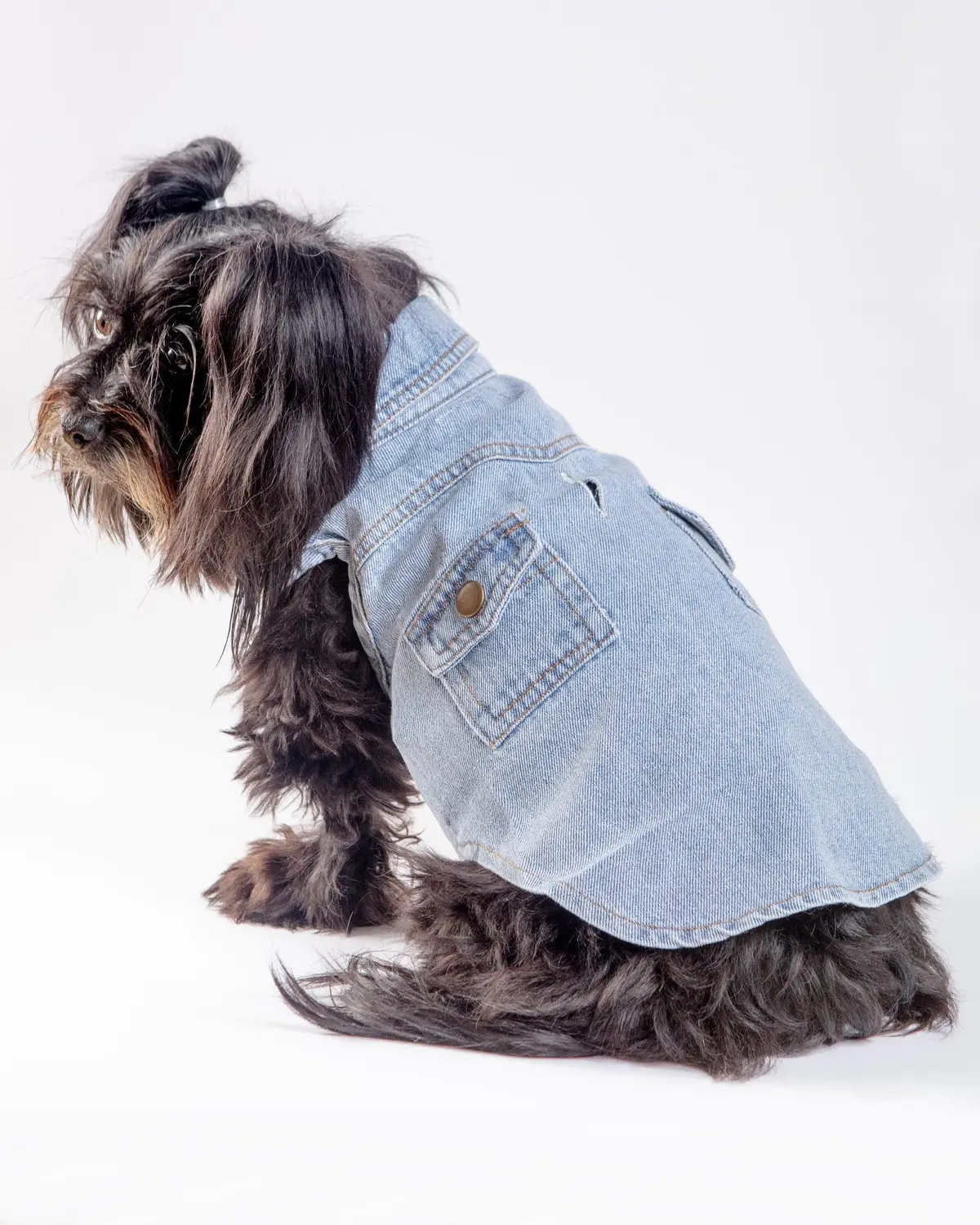 Maverick Denim Dog Shirt (Final Sale) 6