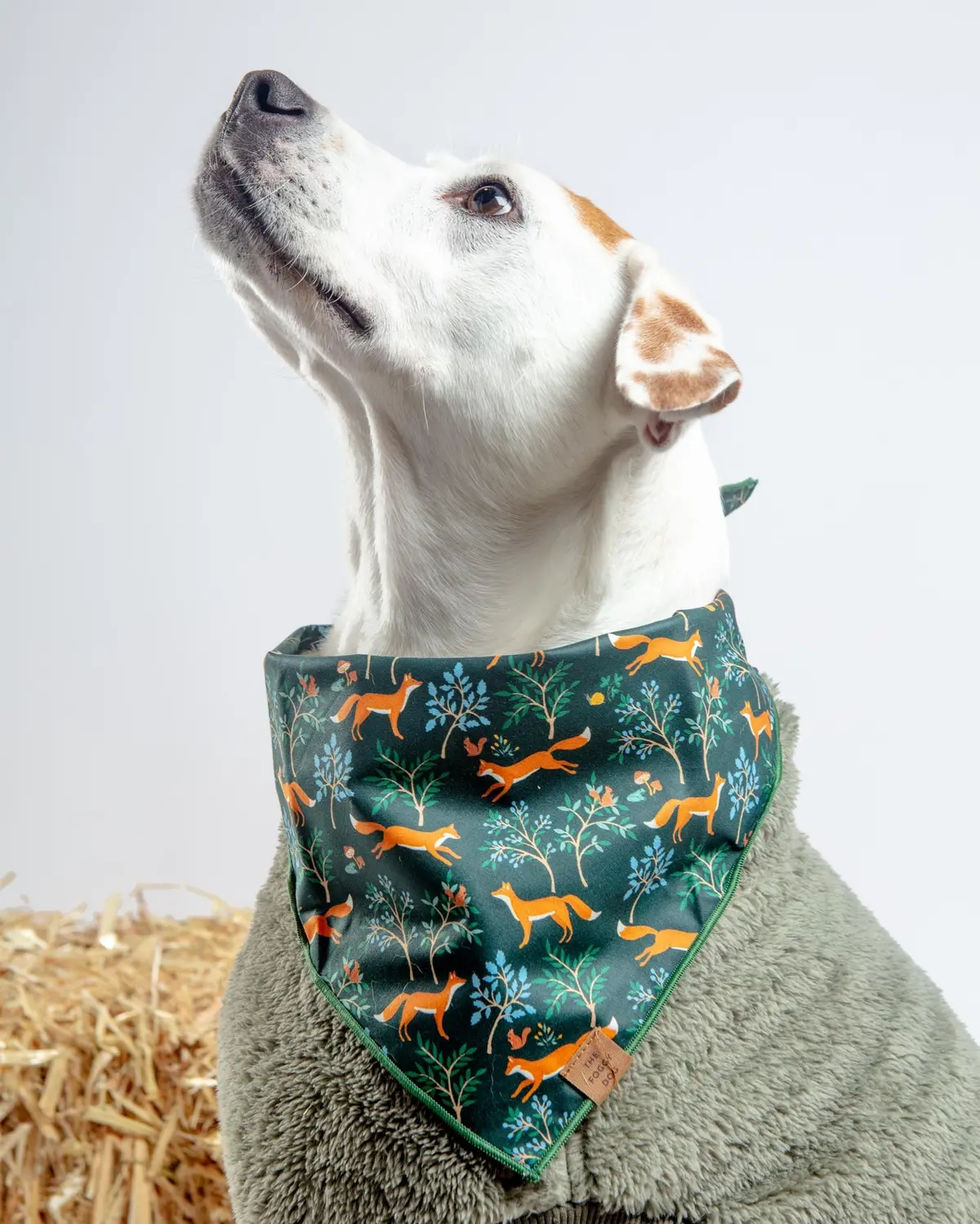 Woodland Fox Dog Bandana (Made In The Usa) 1