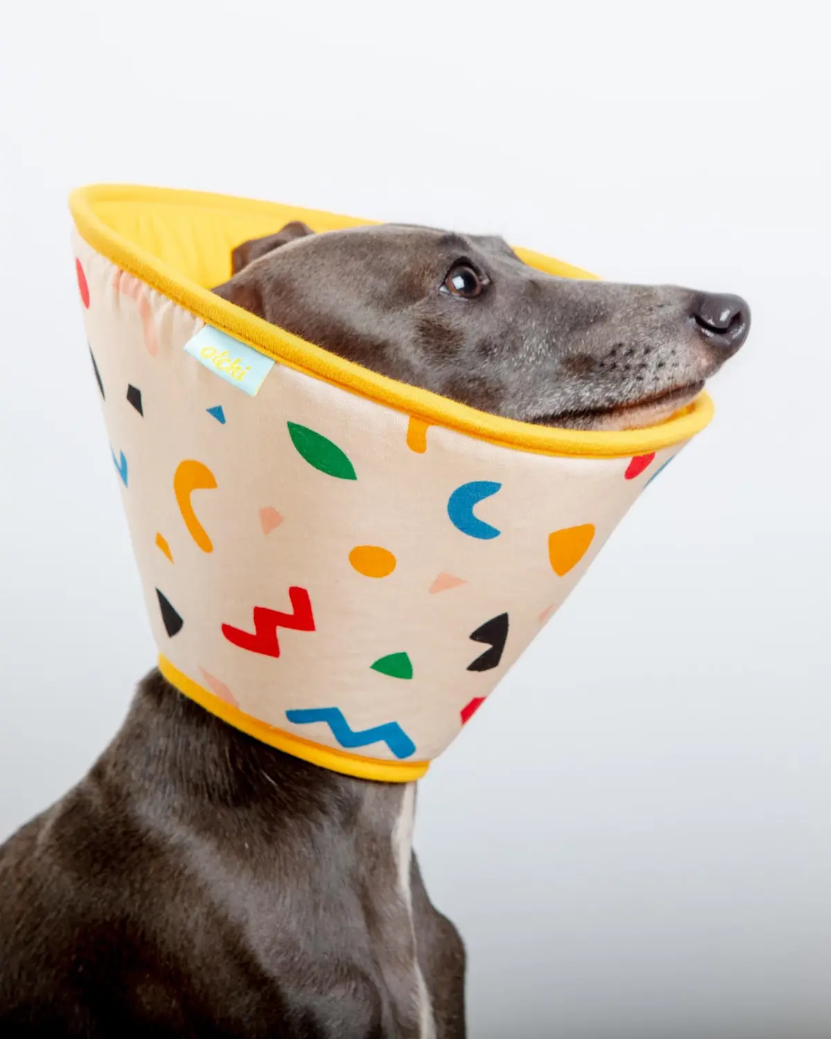 Dog Recovery Cone E-Collar 1