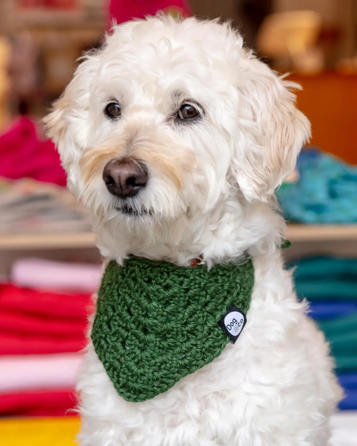 Hand-Crochet Dog Bandana (Made In The Usa) 1