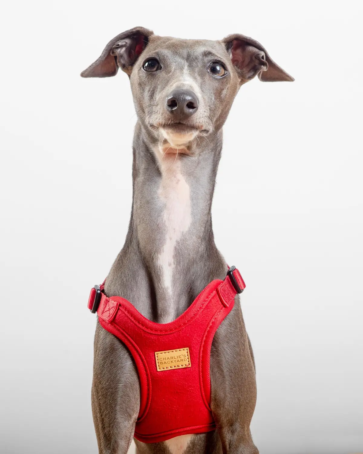 Comfort Dog Harness In Red 1