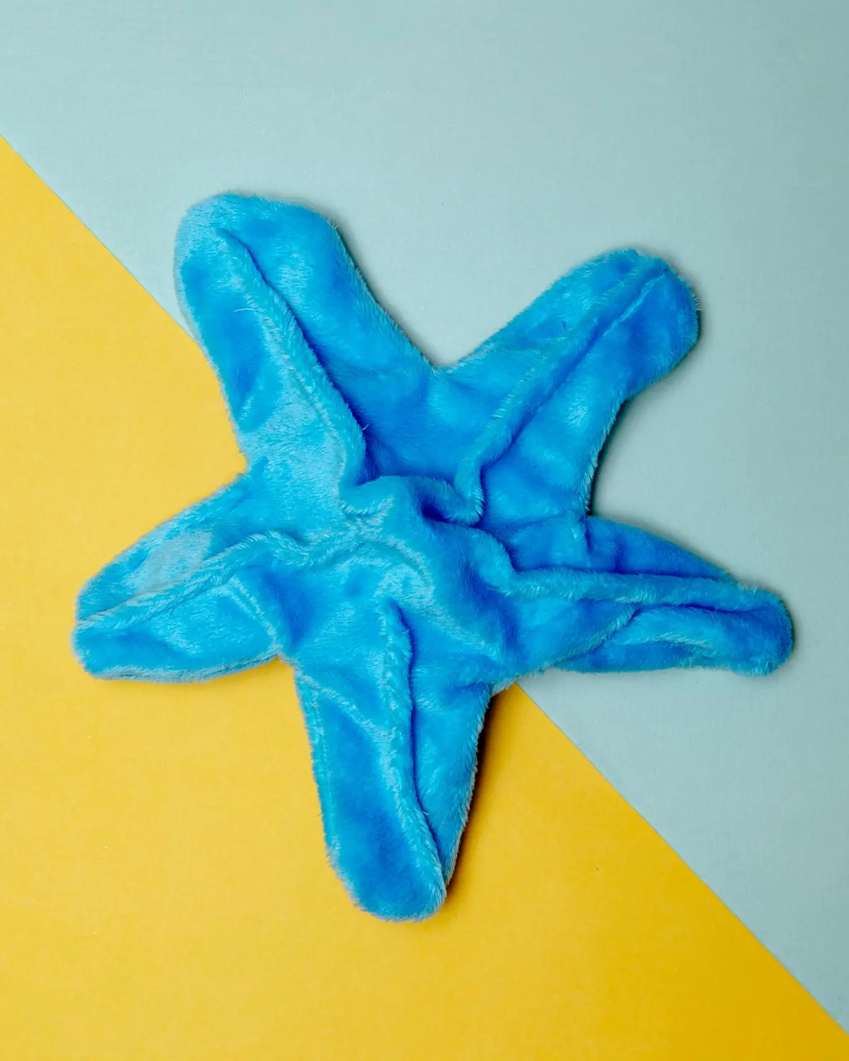 Starfish Crinkle Dog Toy (Made In The Usa) (Final Sale) 1