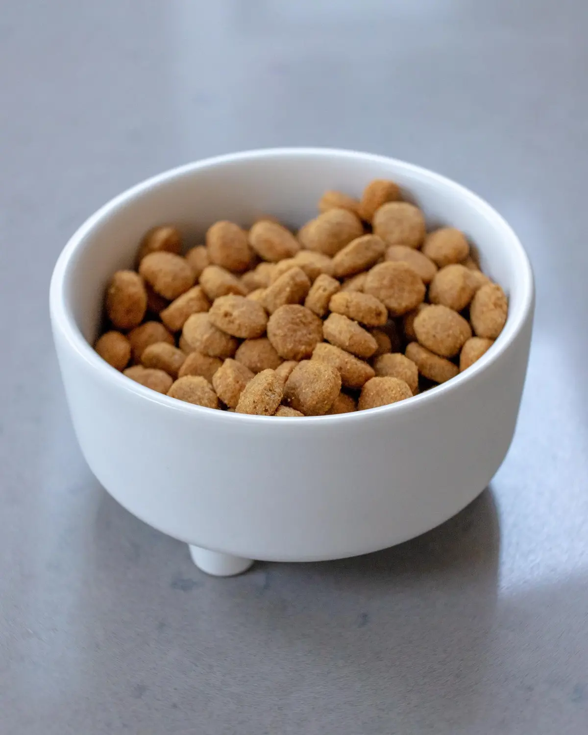 Uplift Ceramic Dog Bowl In White (Final Sale) 1