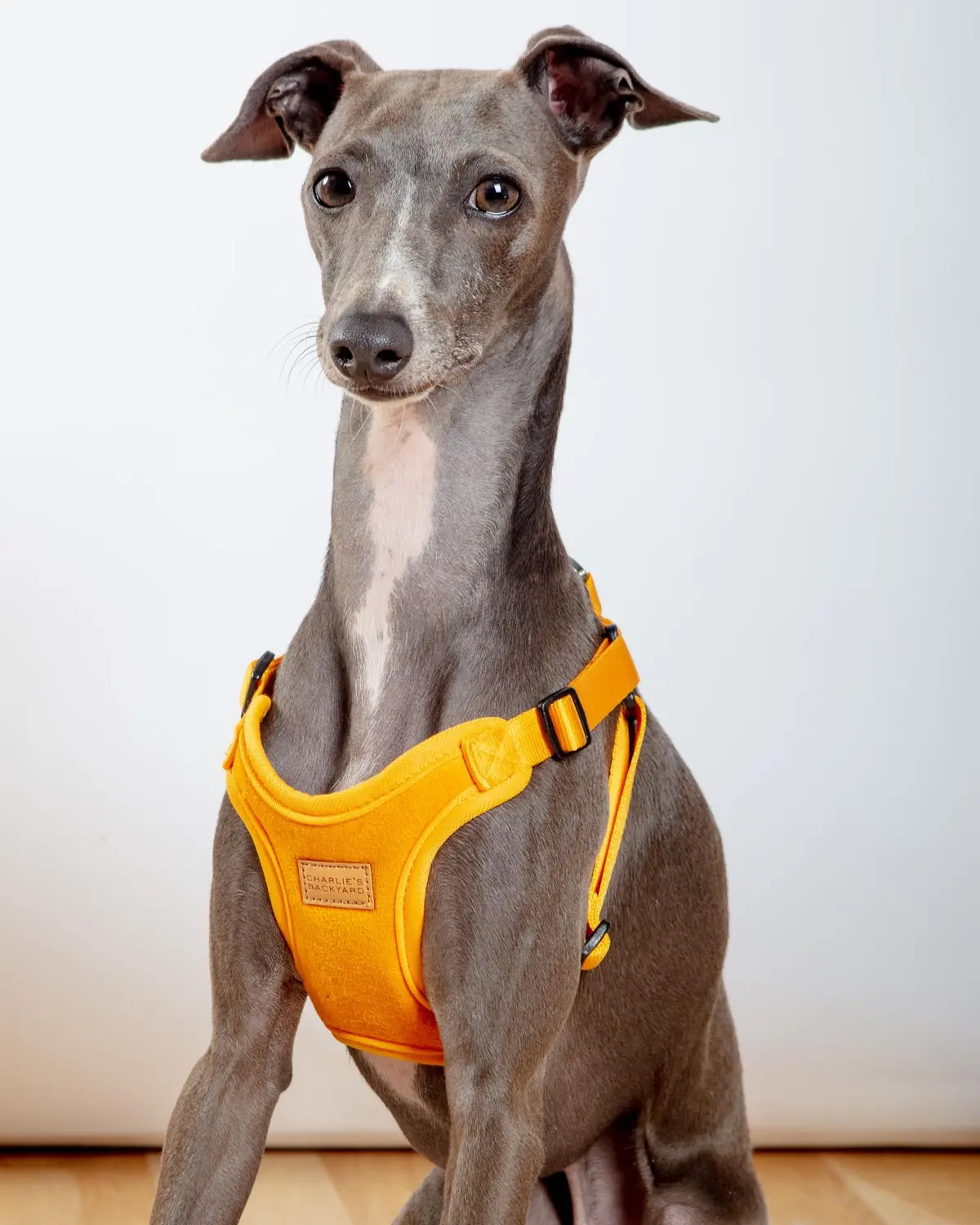 Comfort Dog Harness In Yellow 1