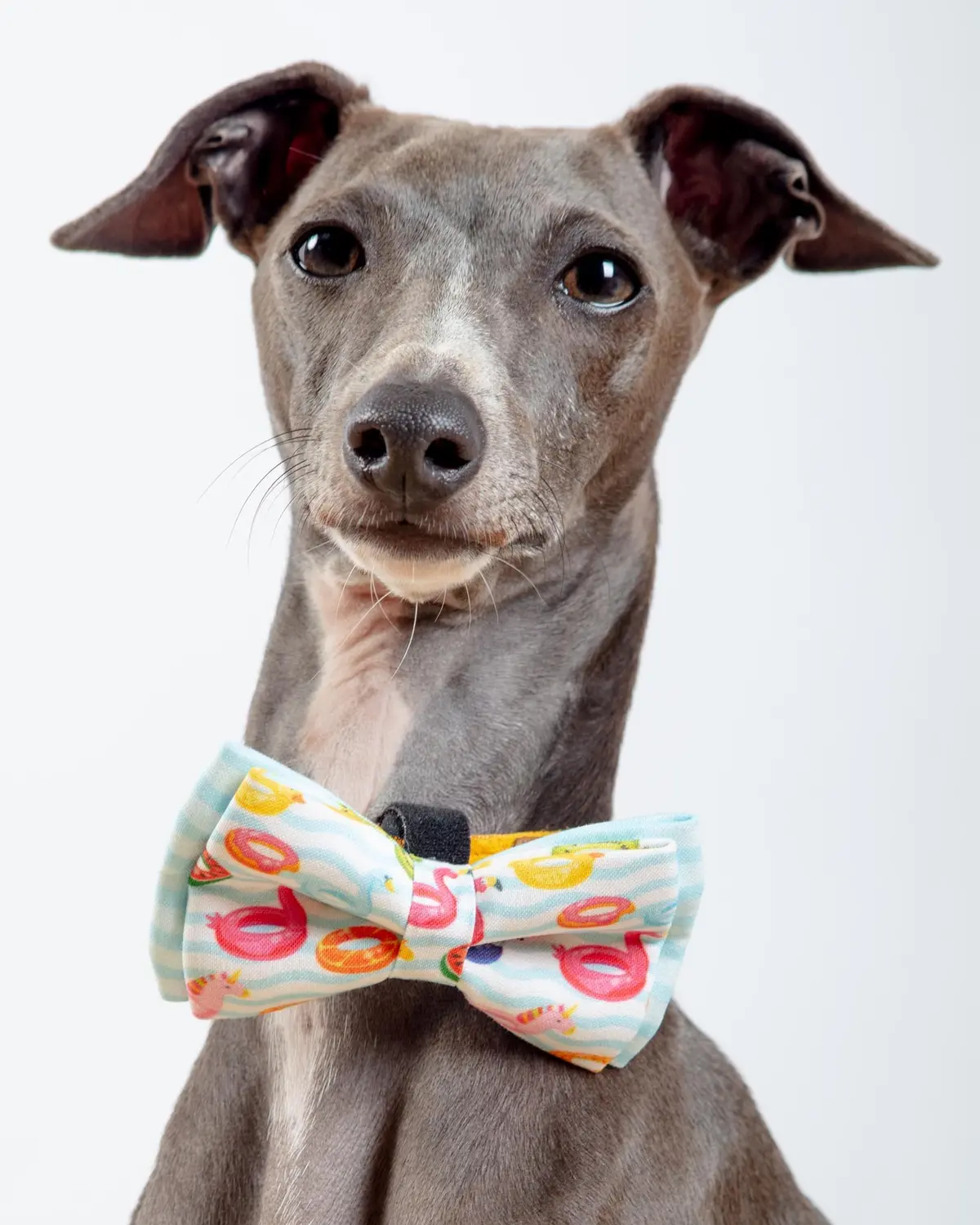 Summer Floats Dog Bow-Tie<Br>(Made In The Usa) (Final Sale) 1